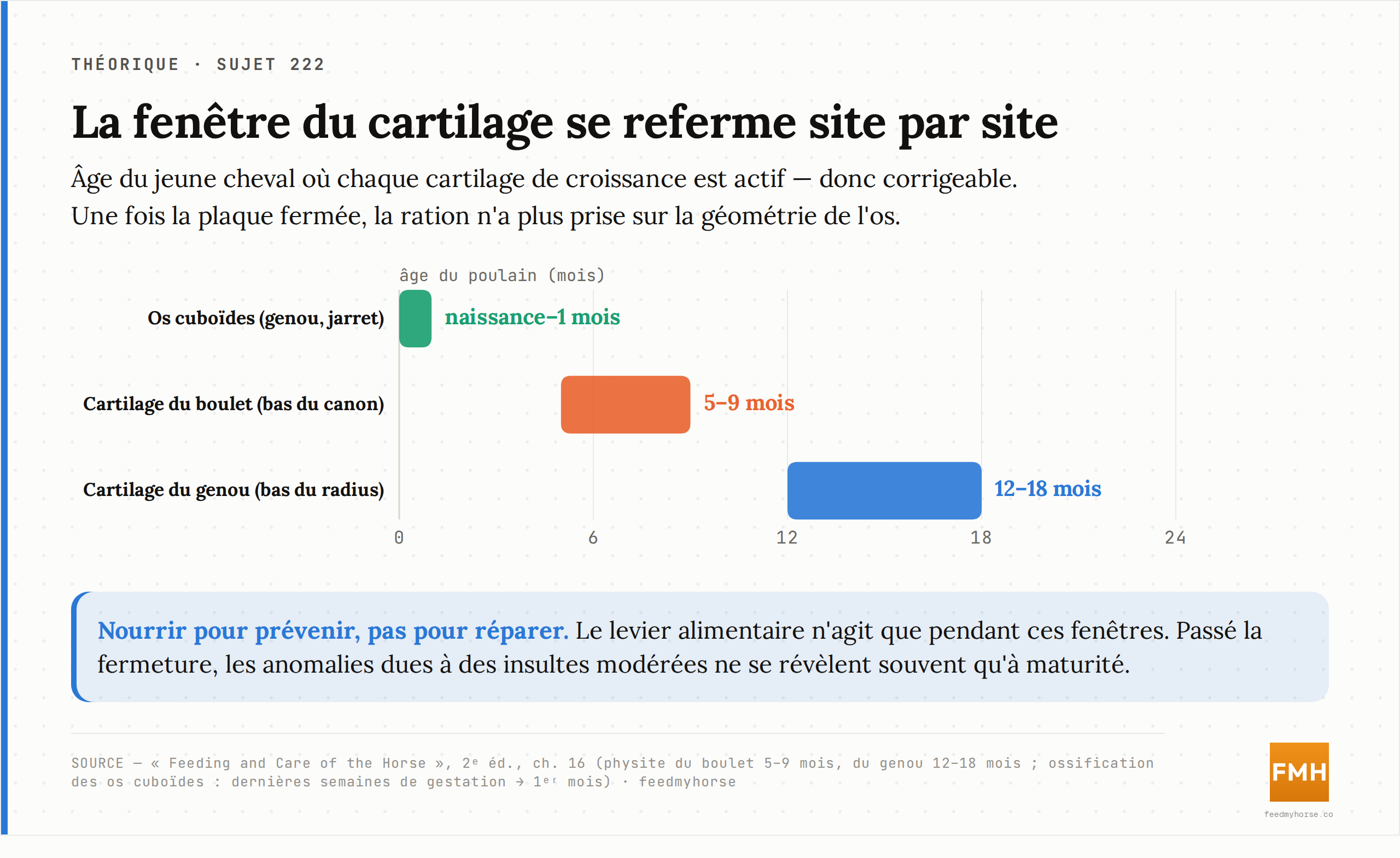Fenêtre d'activité des cartilages de croissance selon le site : ossification des petits os cuboïdes du genou et du jarret de la naissance à 1 mois, physite du bas du canon (boulet) surtout entre 5 et 9 mois, physite du bas du radius (genou) entre 12 et 18 mois. Le levier alimentaire n'agit que pendant ces fenêtres. Source : Feeding and Care of the Horse, 2ᵉ éd., ch. 16.