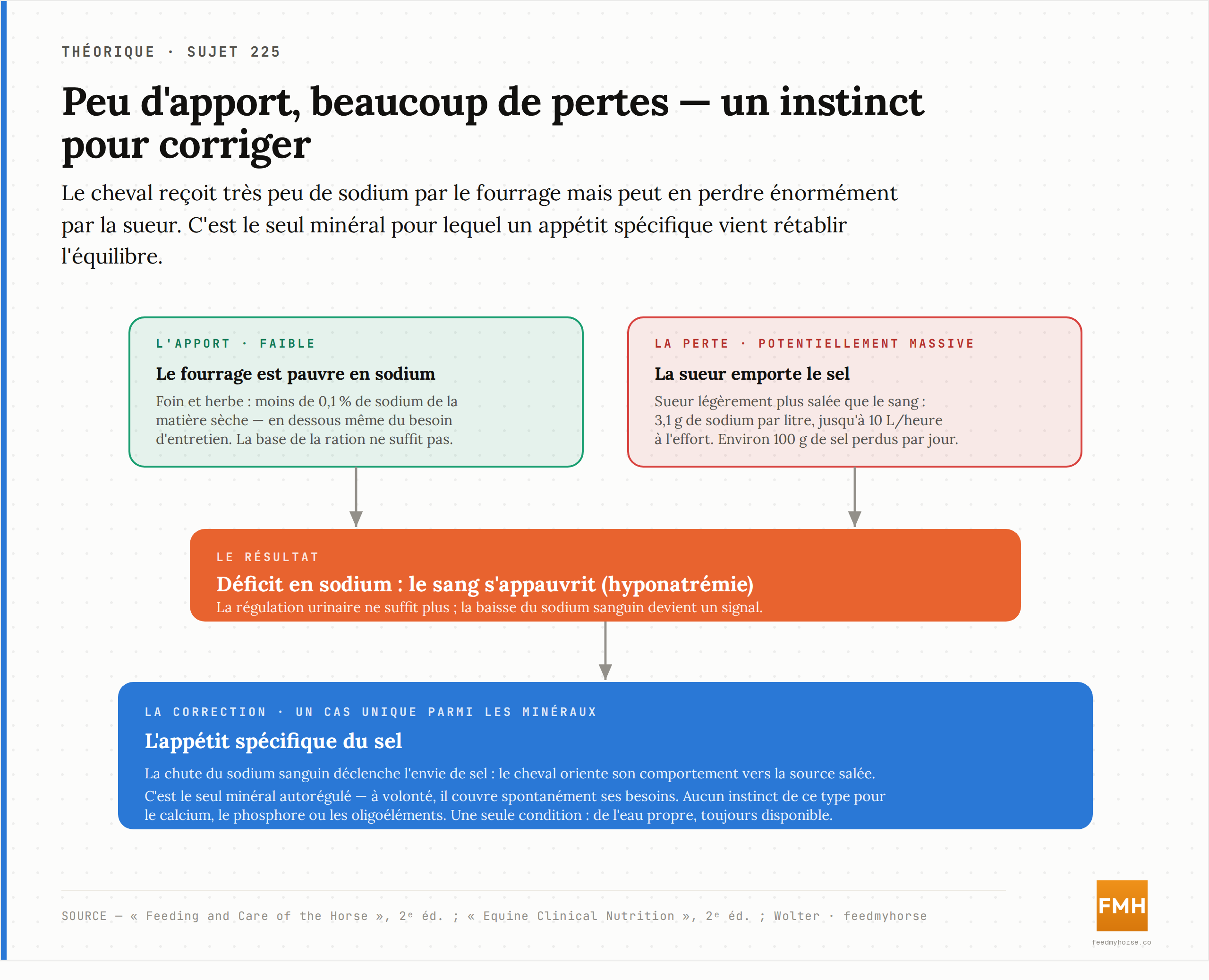 Le déséquilibre du sodium chez le cheval : un apport alimentaire faible face à des pertes potentiellement massives, qu'un appétit spécifique vient corriger. Source : Feeding and Care of the Horse, Equine Clinical Nutrition, Wolter.