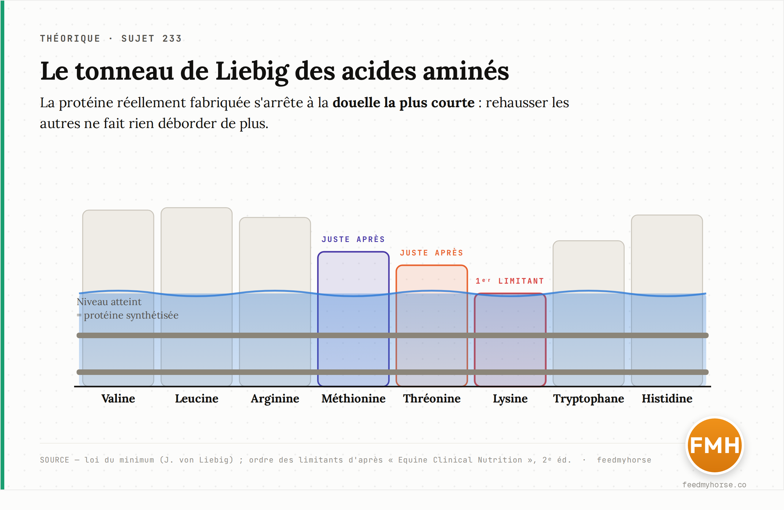 Schéma du tonneau de Liebig appliqué aux acides aminés : la lysine, douelle la plus courte, plafonne la synthèse protéique quelle que soit la hauteur des autres. Concept adapté de la loi du minimum de Liebig.