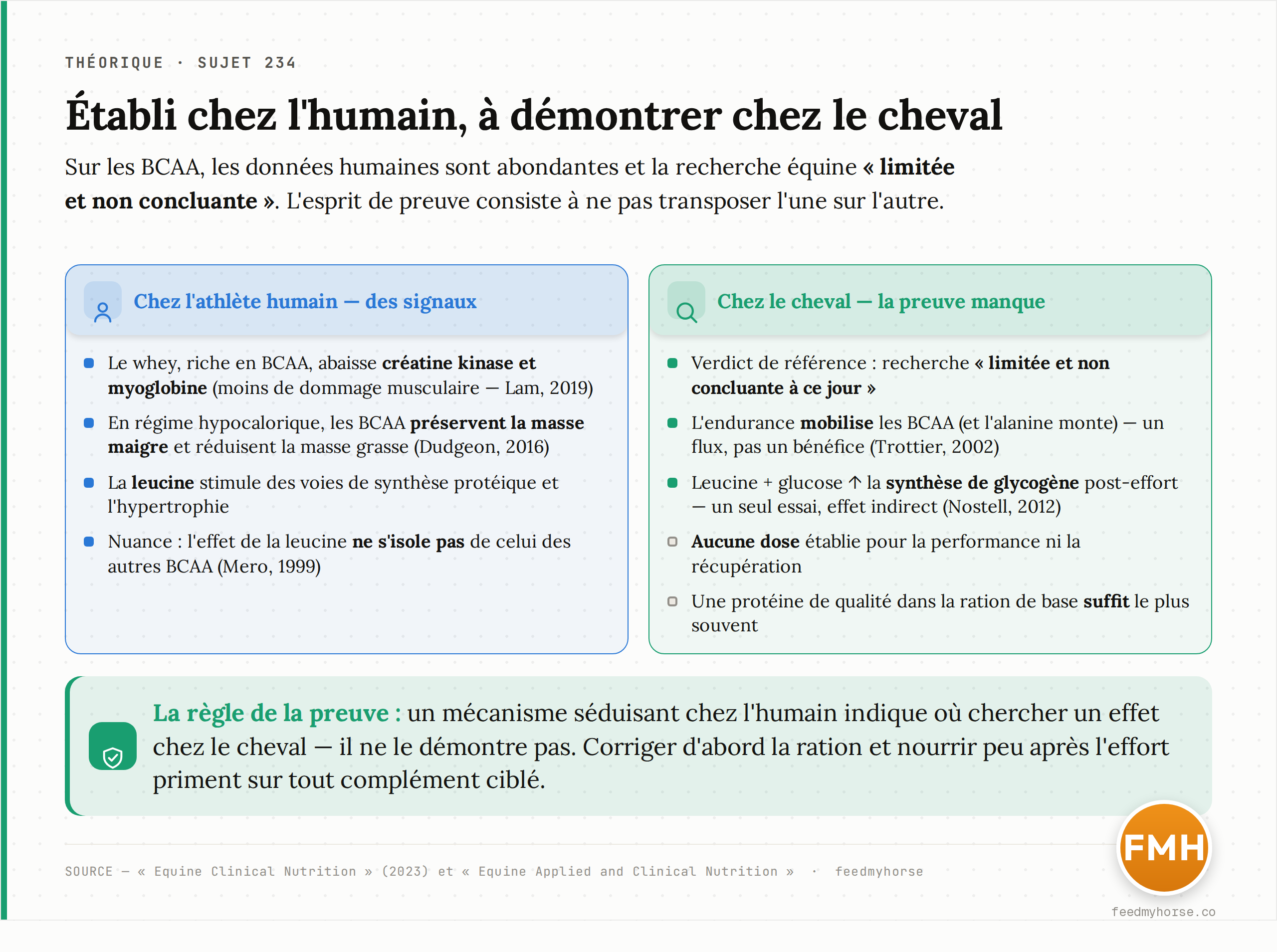 Comparaison : ce qui est établi chez l'athlète humain (à gauche) et ce que la recherche équine a réellement montré — ou pas — sur les BCAA (à droite). L'esprit de preuve consiste à ne pas transposer l'un sur l'autre. Sources : Equine Clinical Nutrition (2023) ; Equine Applied and Clinical Nutrition.