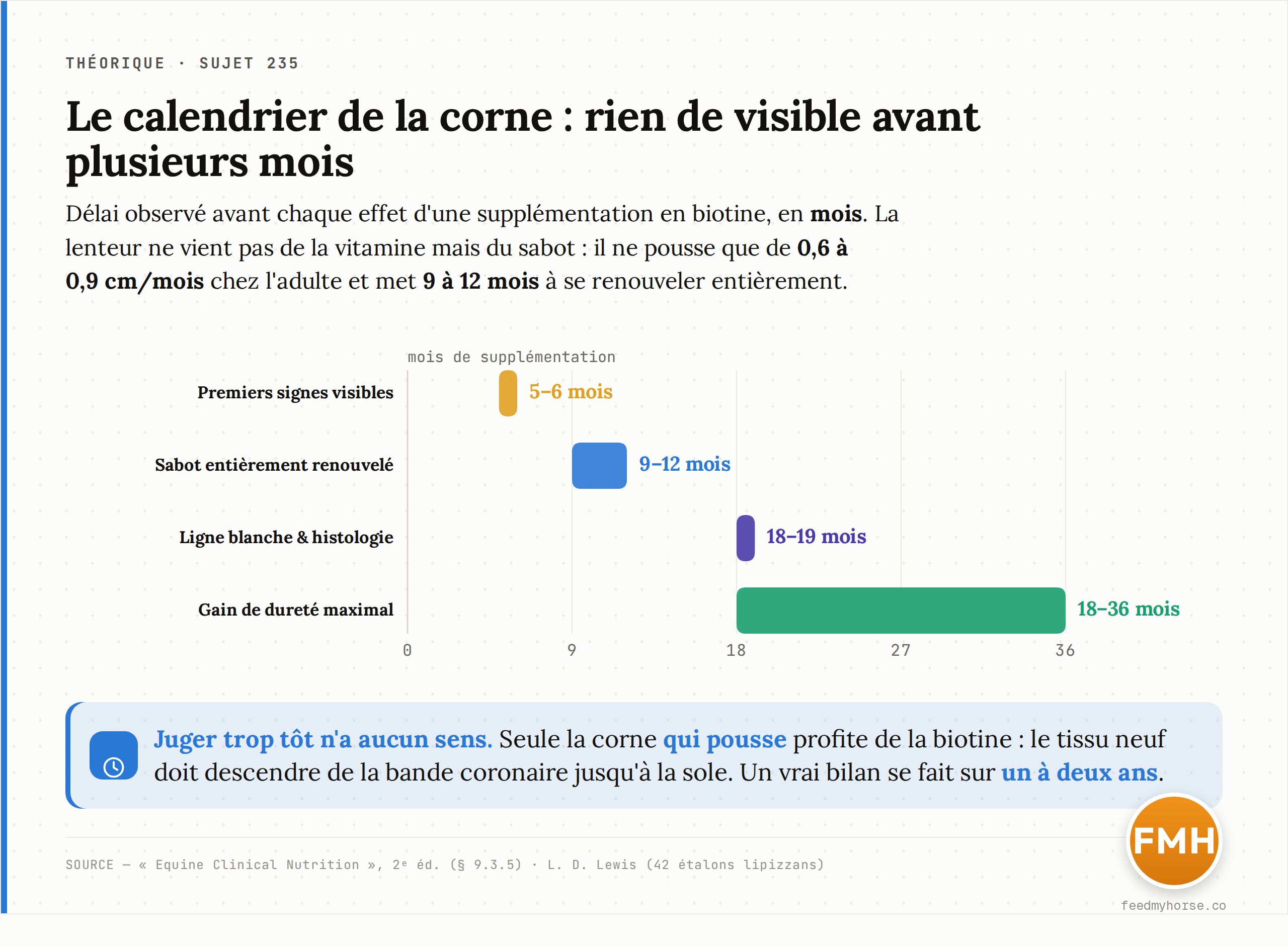 Le calendrier de la corne : rien de visible avant plusieurs mois. Étapes clés d'une supplémentation en biotine sur un sabot de mauvaise qualité, en mois. La lenteur tient à la vitesse de pousse du sabot (0,6–0,9 cm/mois chez l'adulte), qui demande 9 à 12 mois pour un renouvellement complet. Source : Equine Clinical Nutrition, 2ᵉ éd. ; L. D. Lewis (étude sur 42 étalons lipizzans).