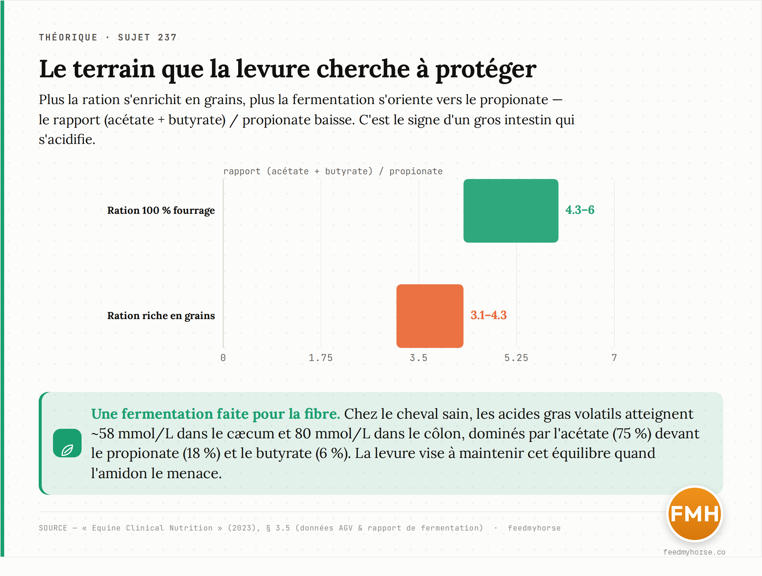 Orientation de la fermentation selon la ration : le rapport (acétate + butyrate) / propionate passe de 4,3–6,0 sur une ration 100 % fourrage à 3,1–4,3 sur une ration riche en grains. Source : « Equine Clinical Nutrition » (2023), § 3.5.