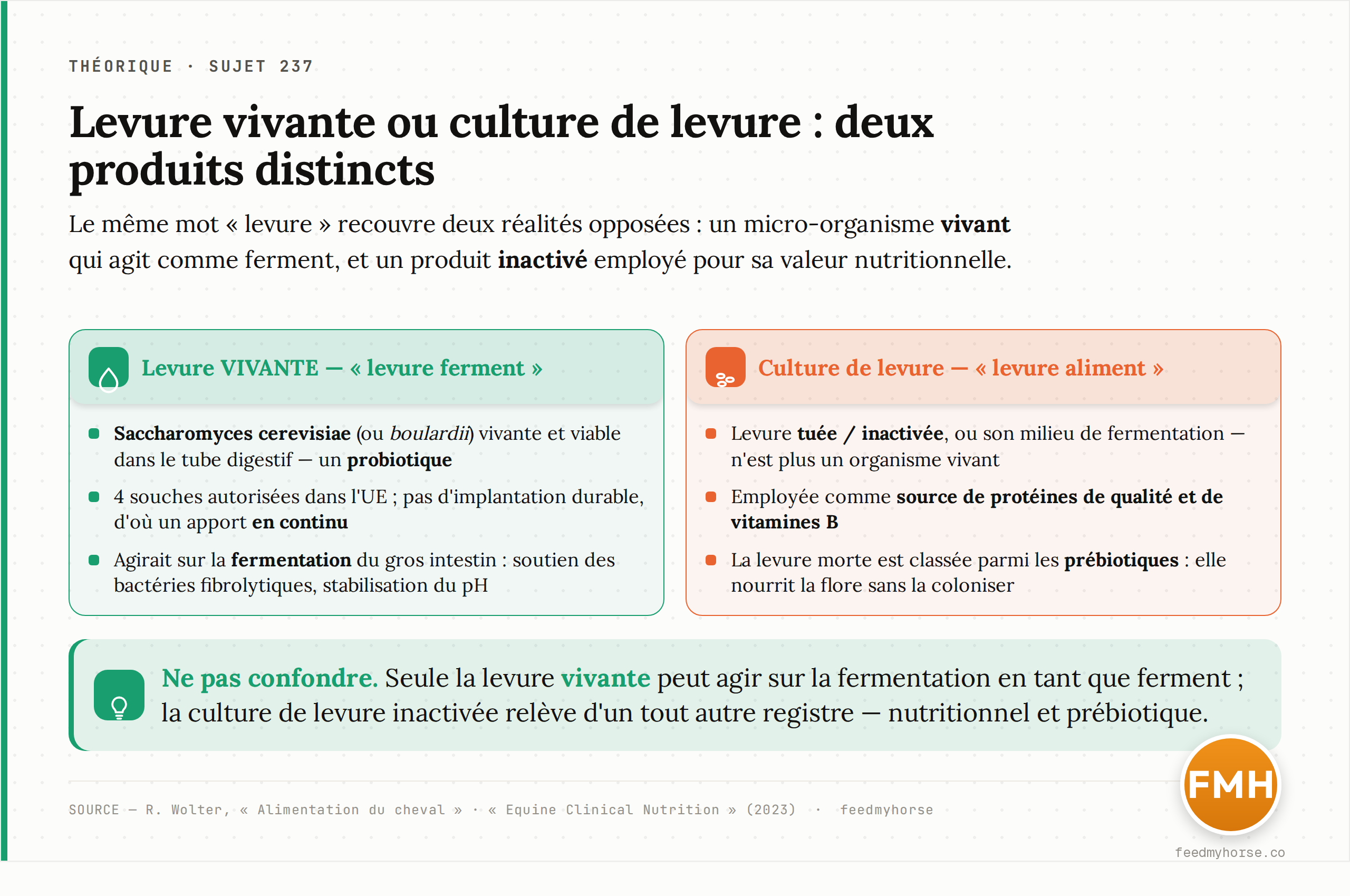 Comparaison des deux produits : la levure vivante (Saccharomyces cerevisiae/boulardii), probiotique administré en continu, agit sur la fermentation ; la culture de levure inactivée est une source nutritionnelle classée parmi les prébiotiques. Sources : R. Wolter, « Alimentation du cheval » ; « Equine Clinical Nutrition » (2023).