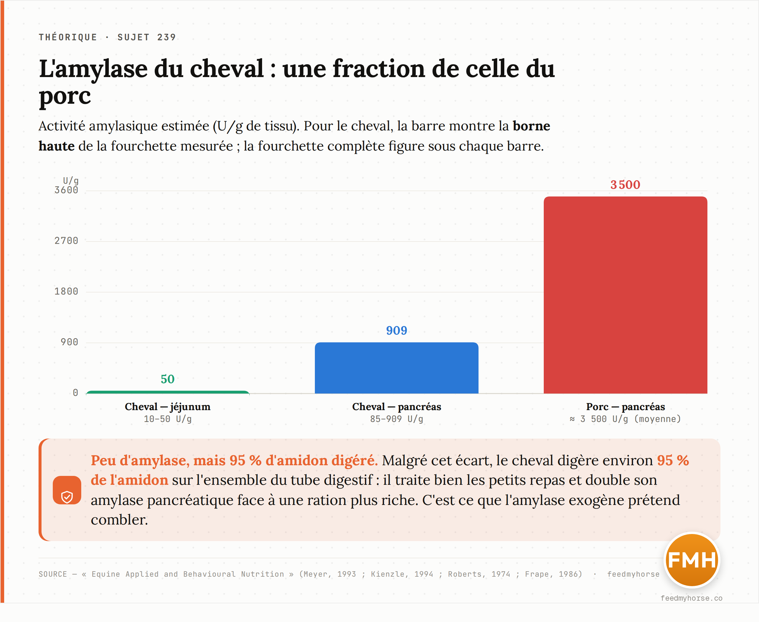 Activité amylasique estimée : le cheval en produit une fraction de celle du porc. Jéjunum équin 10-50 U/g de tissu (Meyer, 1993), pancréas équin 85-909 U/g (Kienzle, 1994), contre ~3 500 U/g chez le porc (Roberts, 1974 ; Frape, 1986). Malgré cet écart, le cheval digère environ 95 % de l'amidon sur l'ensemble du tube digestif.