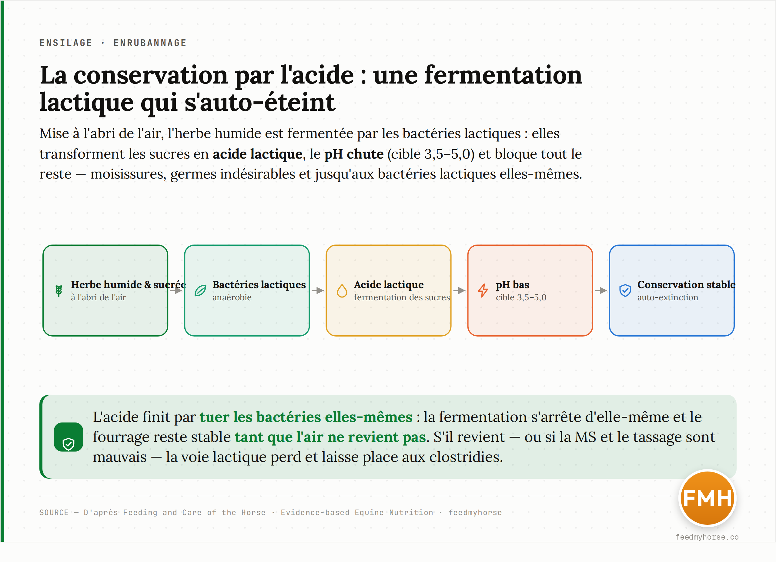 Schéma. La voie centrale montre la fermentation lactique normale : herbe humide et sucrée, mise à l'abri de l'air, fermentée par les bactéries lactiques en acide lactique qui fait chuter le pH (cible 3,5-5,0) et conserve le fourrage. Sur les côtés, les trois façons de dérailler : entrée d'air, matière sèche trop haute (fermentation incomplète), matière sèche trop basse ou souillure (clostridies, fermentation butyrique, botulisme). D'après Feeding and Care of the Horse et Evidence-based Equine Nutrition.