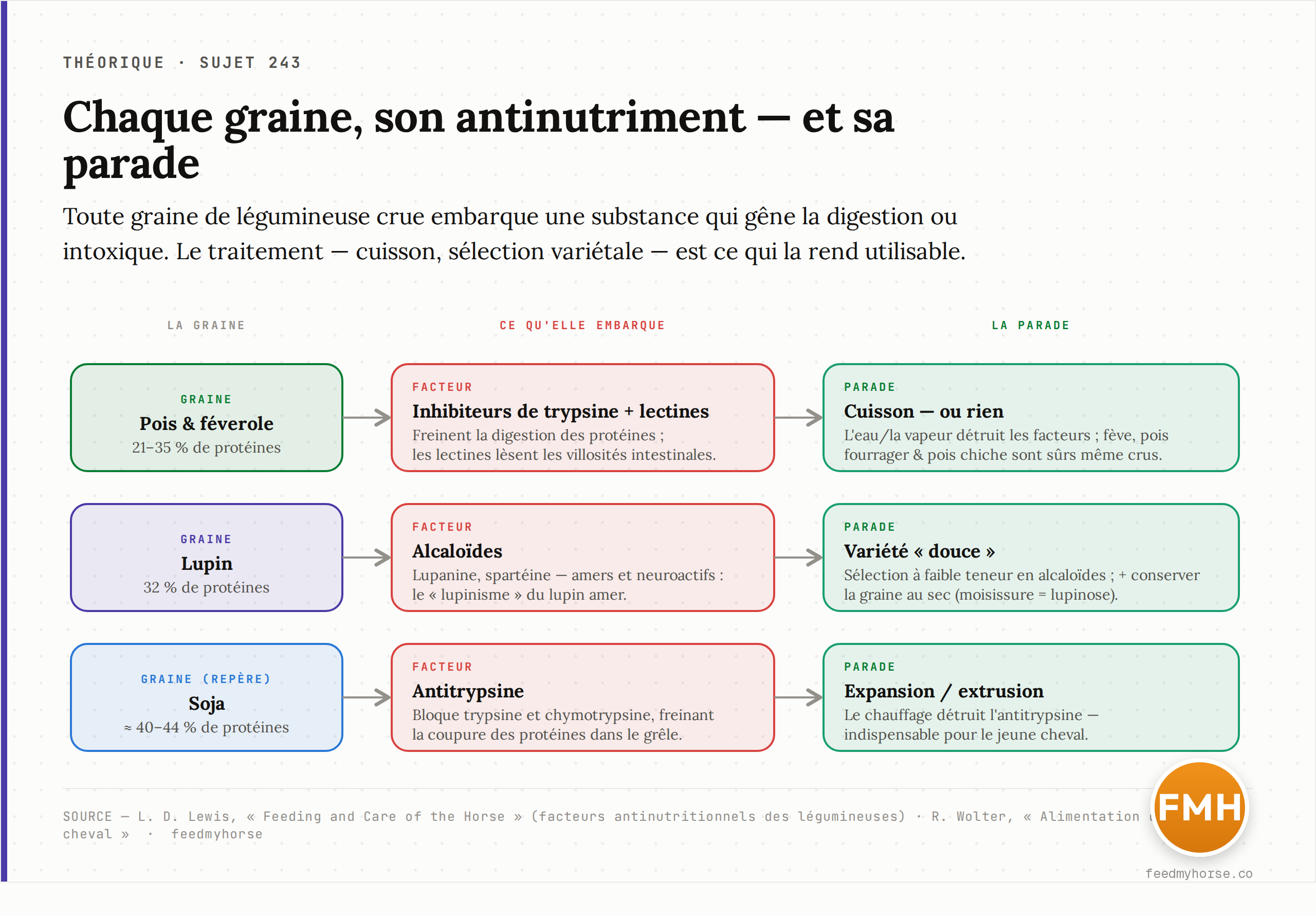 Chaque graine embarque son facteur antinutritionnel dominant, et chacun a sa parade. Pois et féverole : inhibiteurs de trypsine et lectines, atténués par la cuisson mais tolérés crus pour les espèces fourragères ; lupin : alcaloïdes, contournés par les variétés « douces » ; soja : antitrypsine, détruite par expansion ou extrusion. Source : Feeding and Care of the Horse (Lewis) ; Alimentation du cheval (Wolter).