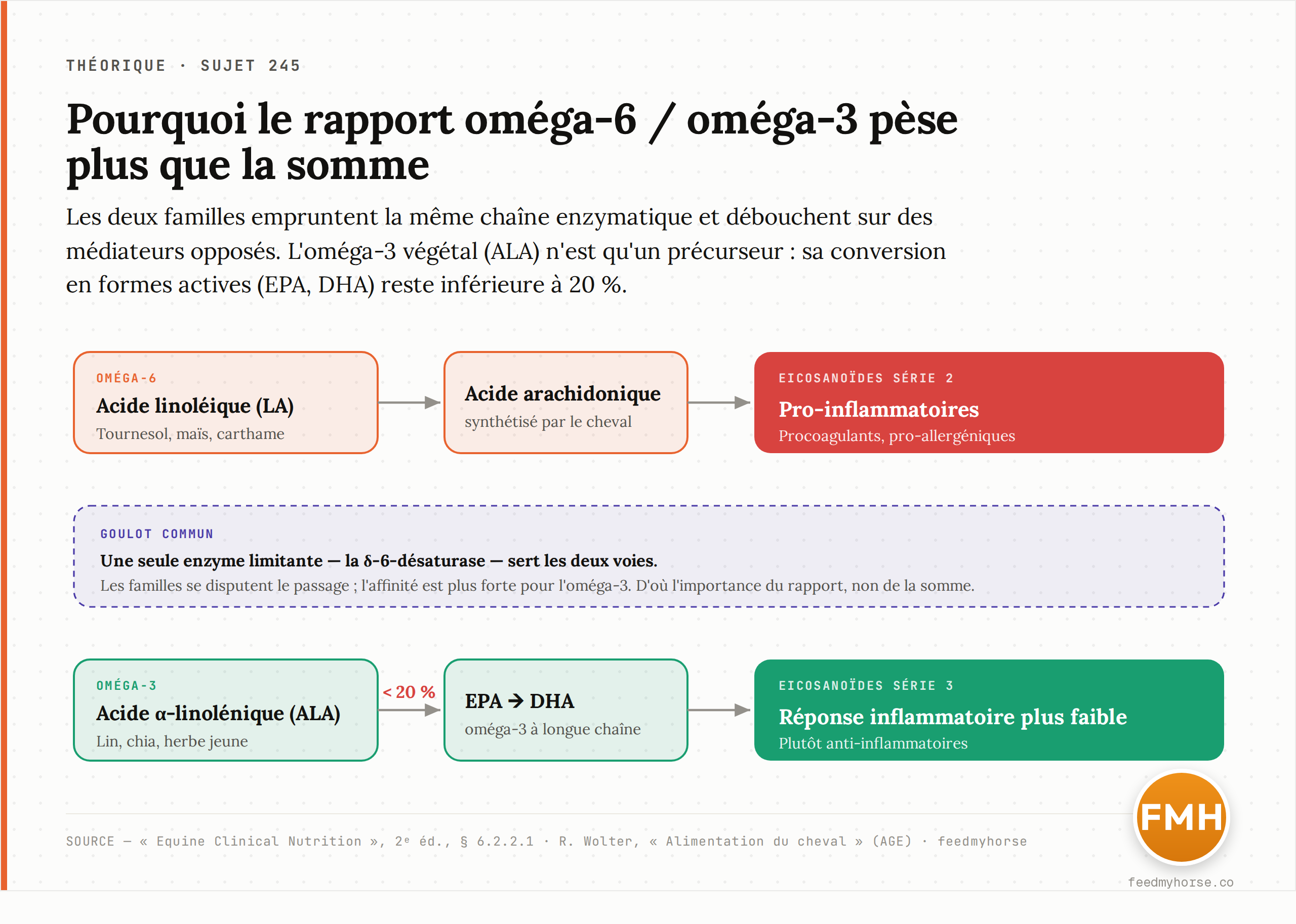 Le chemin métabolique de l'oméga-3 : l'ALA doit être converti en EPA puis DHA par des enzymes que l'oméga-6 se dispute, avec un rendement inférieur à 20 %. Source : Equine Clinical Nutrition, 2ᵉ éd. (§ 6.2.2.1).