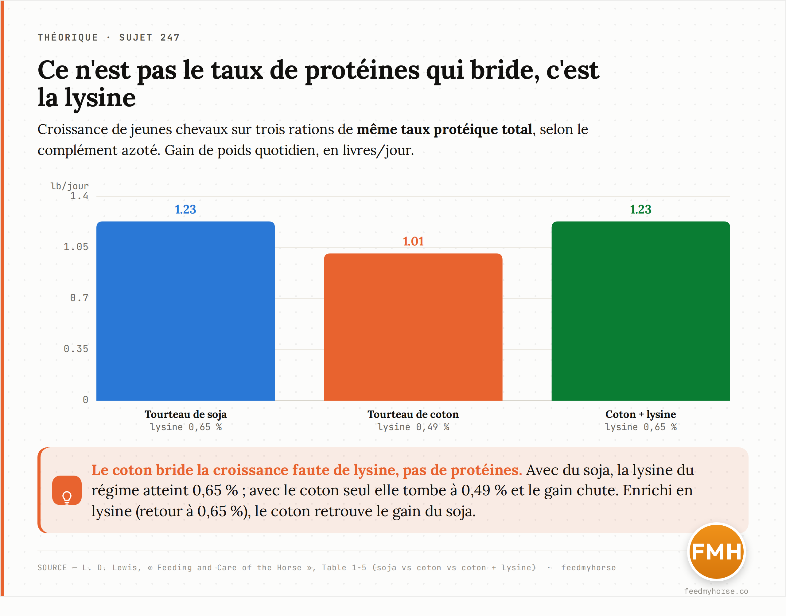 Trois rations de même taux protéique total : le tourteau de coton bride la croissance du jeune cheval par manque de lysine, mais l'enrichissement en lysine restaure un gain égal à celui du soja. Source : L. D. Lewis, Feeding and Care of the Horse, Table 1-5 (soja vs coton vs coton + lysine).