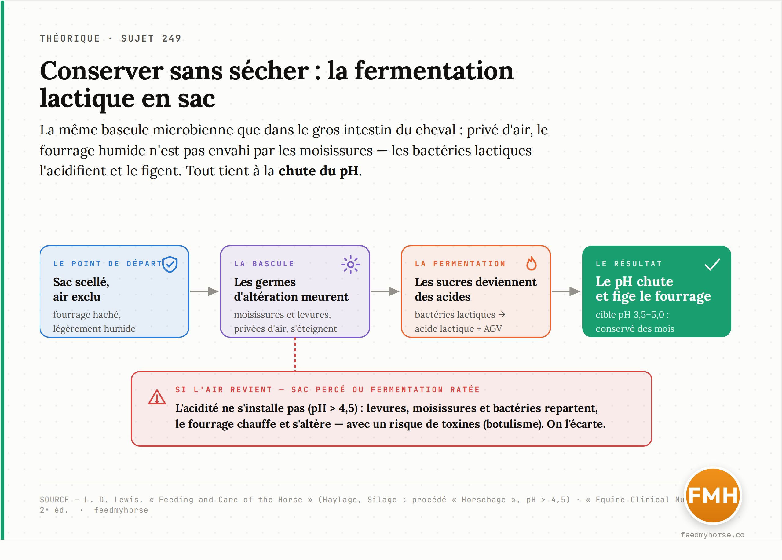 Le mécanisme de la conservation par fermentation lactique : l'exclusion de l'air tue les germes d'altération, les bactéries lactiques transforment les sucres en acides, le pH chute et fige le fourrage. Source : Feeding and Care of the Horse, L. D. Lewis.