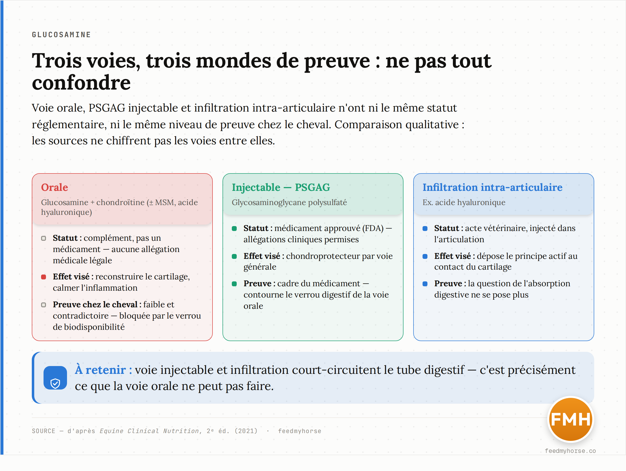 Tableau comparatif des voies chondroprotectrices chez le cheval : voie orale (glucosamine-chondroïtine), injectable (PSGAG) et infiltration intra-articulaire, avec pour chacune son statut réglementaire, l'effet visé et le niveau de preuve. Comparaison qualitative : les sources ne fournissent pas de chiffres directs entre voies. Source : d'après Equine Clinical Nutrition (2021).