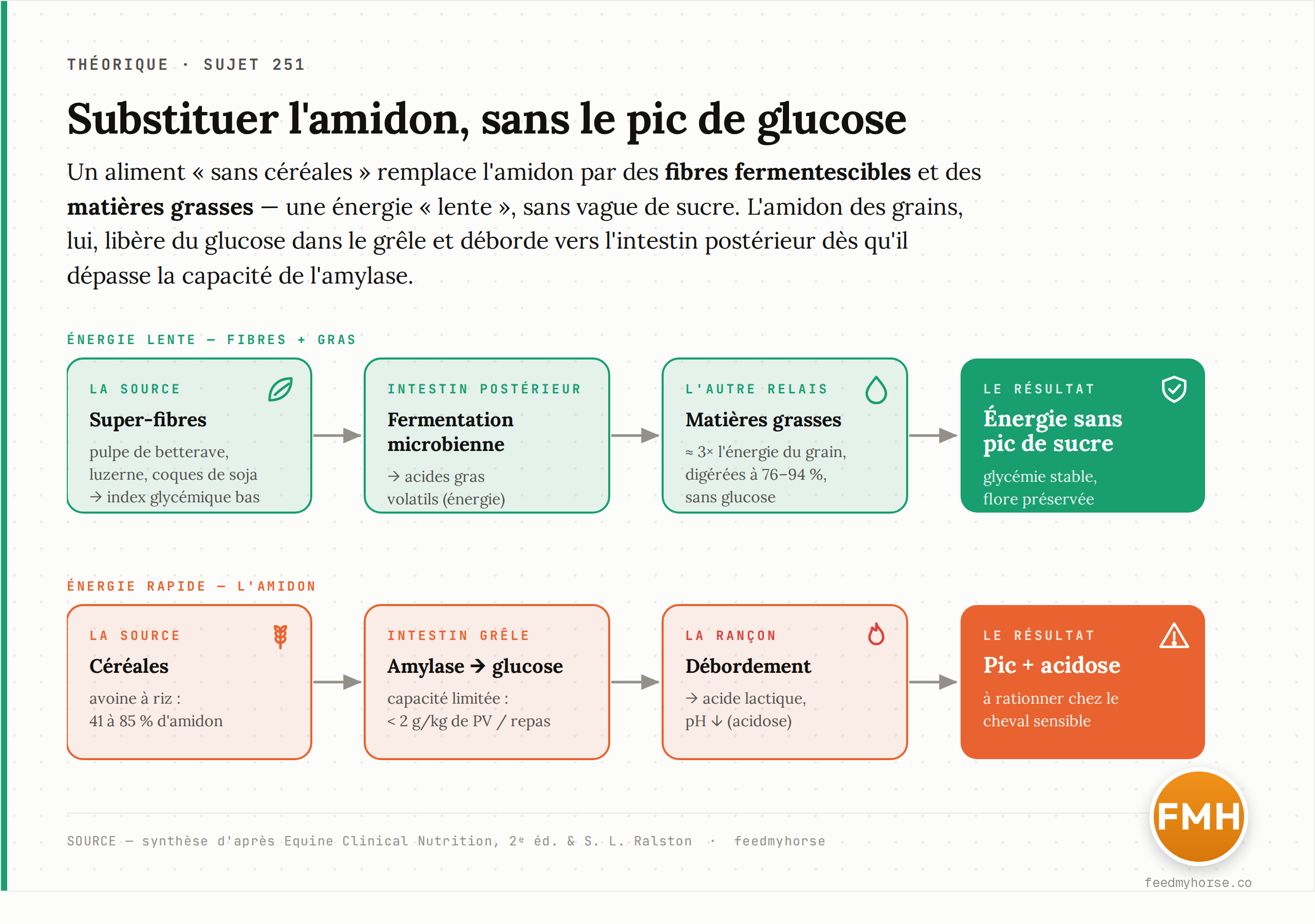 Substituer l'amidon sans le pic de glucose. Trois voies énergétiques comparées : amidon (voie grêle, réponse glycémique) contre fibres fermentescibles et matières grasses (voies « lentes »). Source : Equine Clinical Nutrition et Ralston.