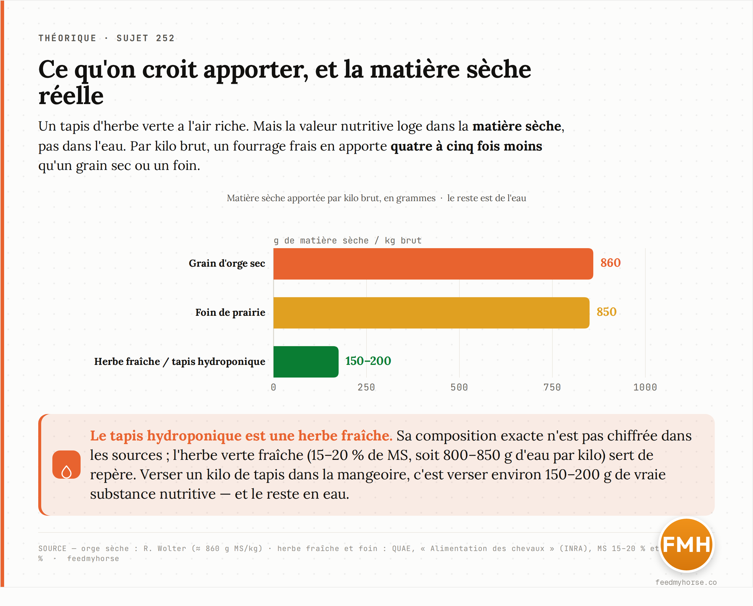 Matière sèche réellement apportée par kilo brut : l'orge sèche et le foin de prairie plafonnent autour de 850-860 g/kg, tandis qu'une herbe fraîche — famille à laquelle appartient le tapis hydroponique — n'en apporte que 150 à 200 g/kg, le reste étant de l'eau. La valeur du tapis hydroponique n'est pas chiffrée dans les sources ; l'herbe verte fraîche sert de repère. Sources : orge, Wolter ; herbe verte et foin, QUAE, « Alimentation des chevaux » (INRA).