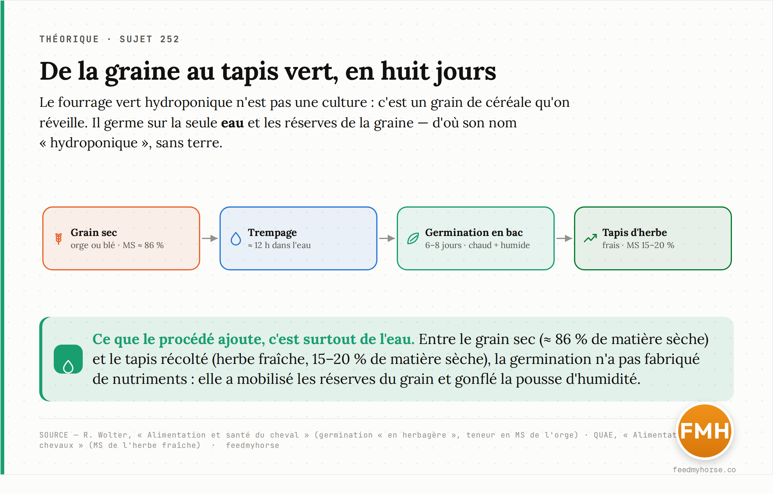 Le principe du fourrage vert hydroponique : un grain sec d'orge ou de blé est trempé une douzaine d'heures, puis germé en bac à l'humidité et à la chaleur pendant six à huit jours, jusqu'à former un tapis racinaire surmonté d'herbe fraîche distribué tel quel. Source : Wolter, « Alimentation et santé du cheval ».