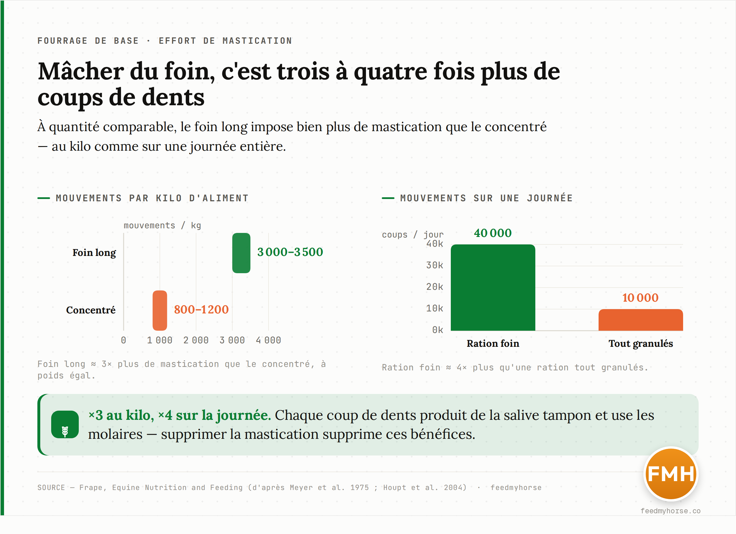 Graphique : effort de mastication du fourrage compare au concentre. A gauche, mouvements de mastication par kilo : 800-1200 pour le concentre contre 3000-3500 pour le foin long (environ x3 a poids egal). A droite, mouvements par jour : 10 000 pour une ration tout granules contre 40 000 pour une ration foin (x4). Sources : Frape, Equine Nutrition and Feeding, d'apres Meyer et al. 1975 et Houpt et al. 2004.