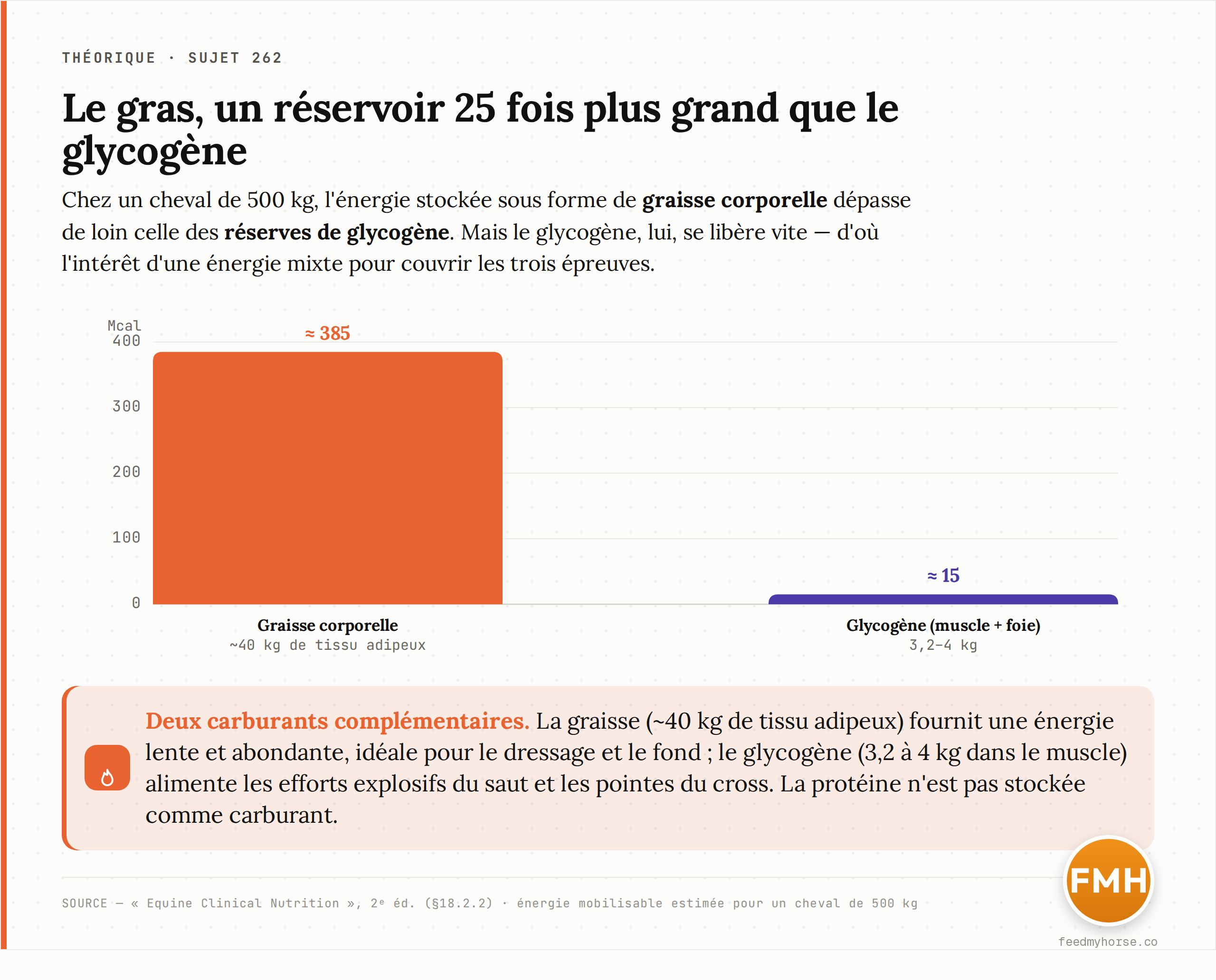 Chez un cheval de 500 kg, l'énergie stockée sous forme de graisse corporelle (~385 Mcal) dépasse d'environ 25 fois celle des réserves de glycogène (~15 Mcal). Source : Equine Clinical Nutrition, 2ᵉ éd., §18.2.2 (énergie mobilisable estimée pour un cheval de 500 kg).