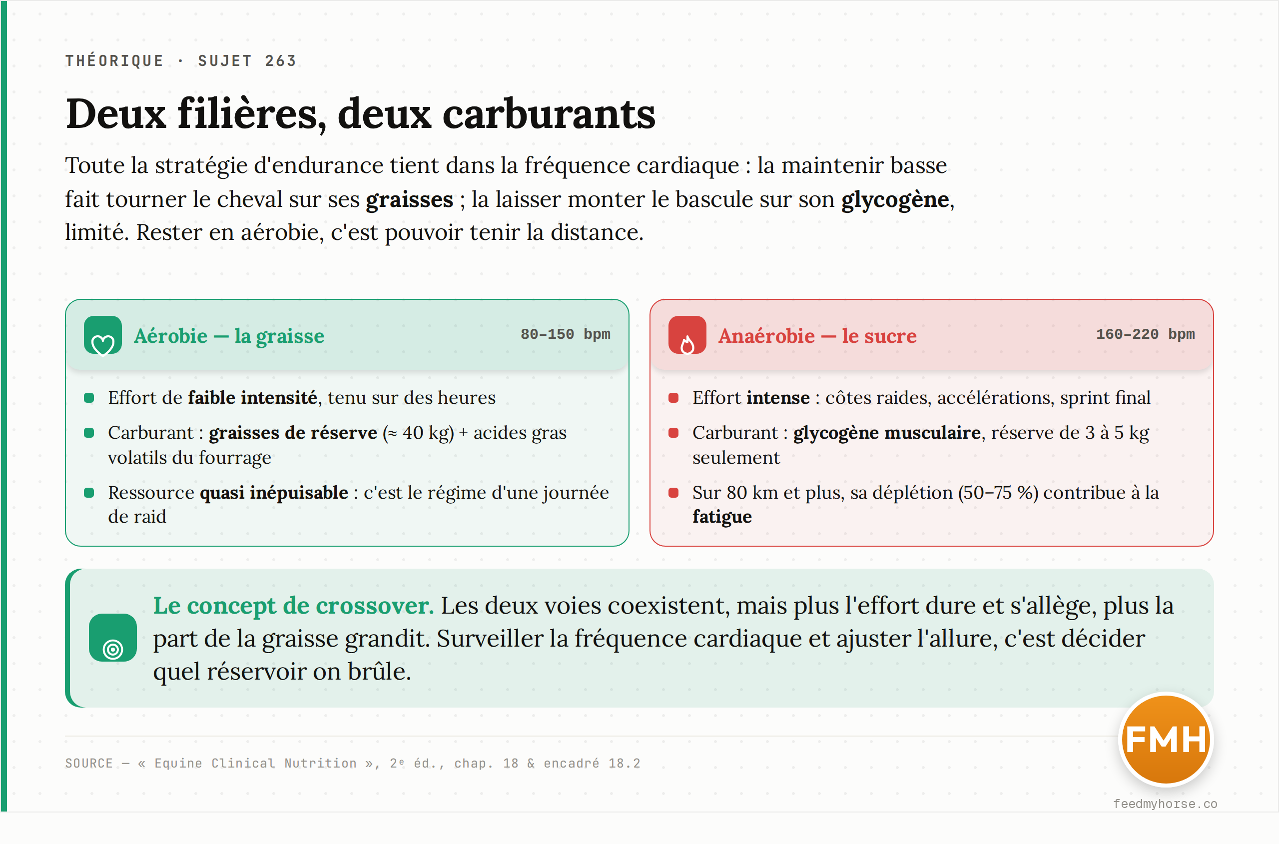 Deux filières, deux carburants : sous 150 bpm le cheval oxyde ses graisses de réserve, une ressource lente mais quasi inépuisable ; au-dessus de 160 bpm il bascule en anaérobie et consomme un glycogène musculaire limité, dont la déplétion contribue à la fatigue. Source : Equine Clinical Nutrition, 2ᵉ éd., ch. 18.