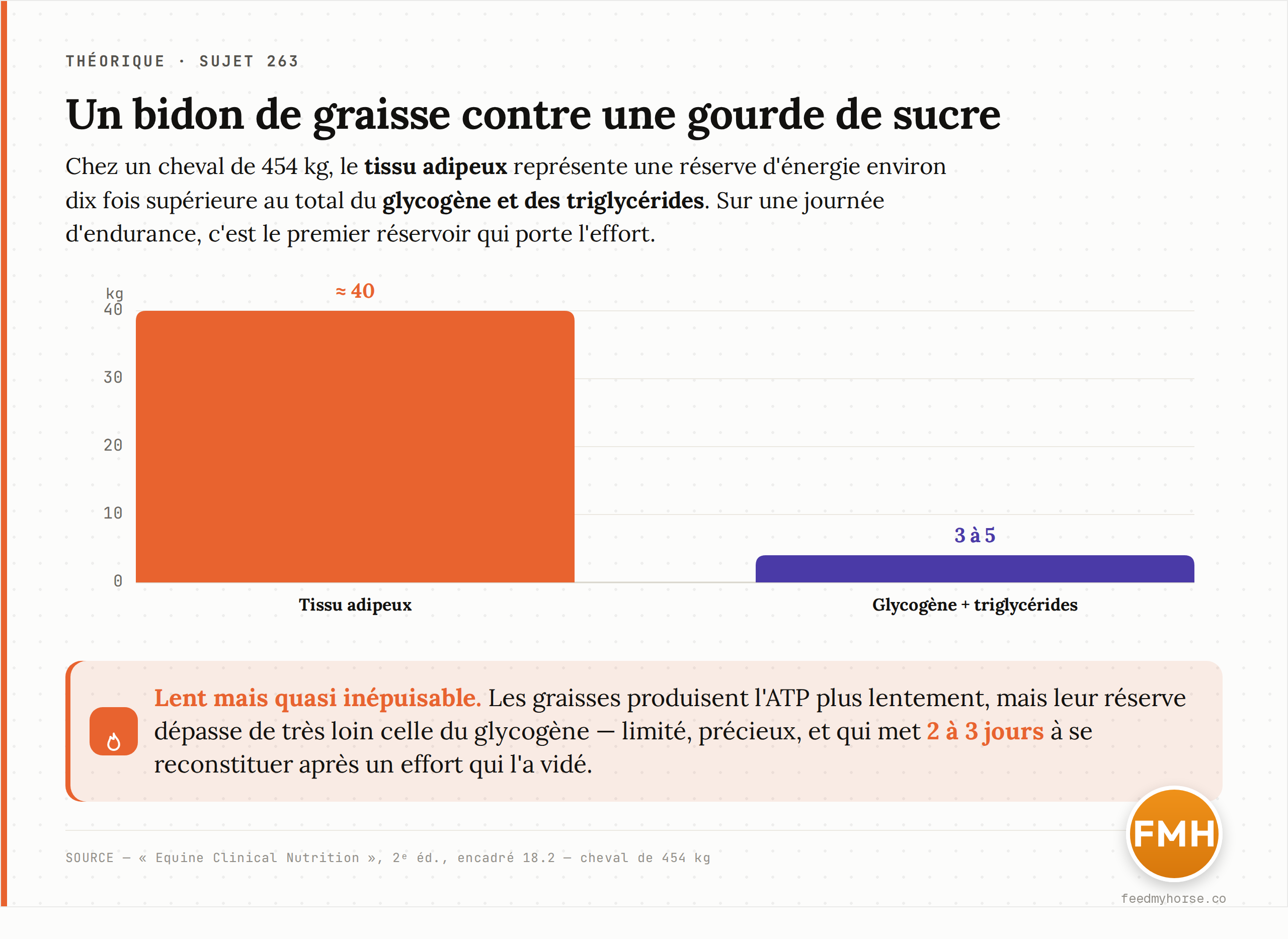 Les deux réservoirs d'énergie d'un cheval de 454 kg : le tissu adipeux (≈ 40 kg) dépasse de loin le total du glycogène musculaire et hépatique et des triglycérides intramusculaires (3 à 5 kg). L'endurance puise dans le premier ; le second, limité, se reconstitue en 2 à 3 jours. Source : Equine Clinical Nutrition, 2ᵉ éd., encadré 18.2.