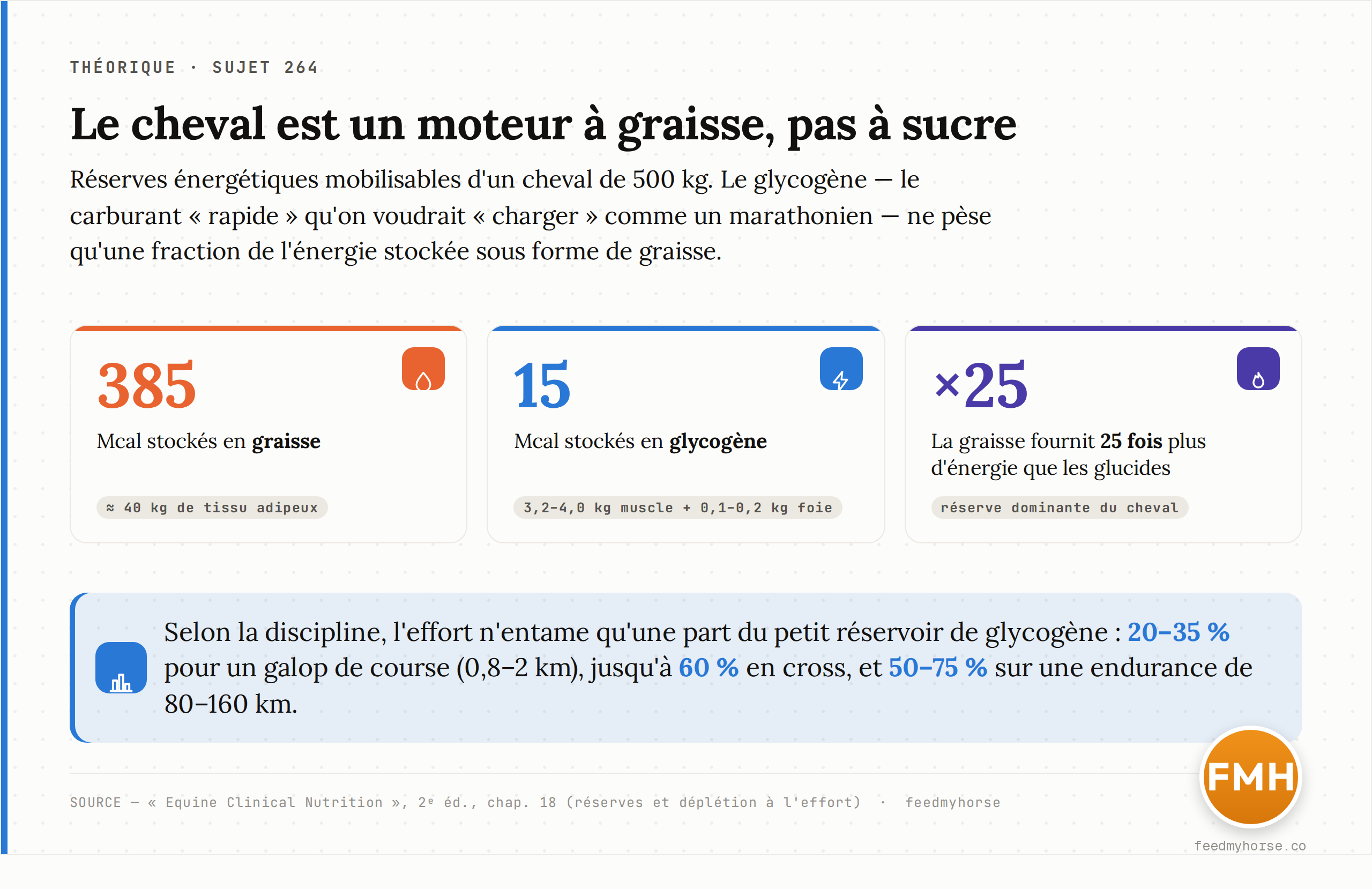 Réserves d'énergie d'un cheval de 500 kg : la graisse domine (385 Mcal, ~40 kg) et éclipse le glycogène musculaire et hépatique (15 Mcal). Selon la discipline, l'effort n'entame qu'une fraction de ce petit réservoir. Source : Equine Clinical Nutrition, 2ᵉ éd., chap. 18.