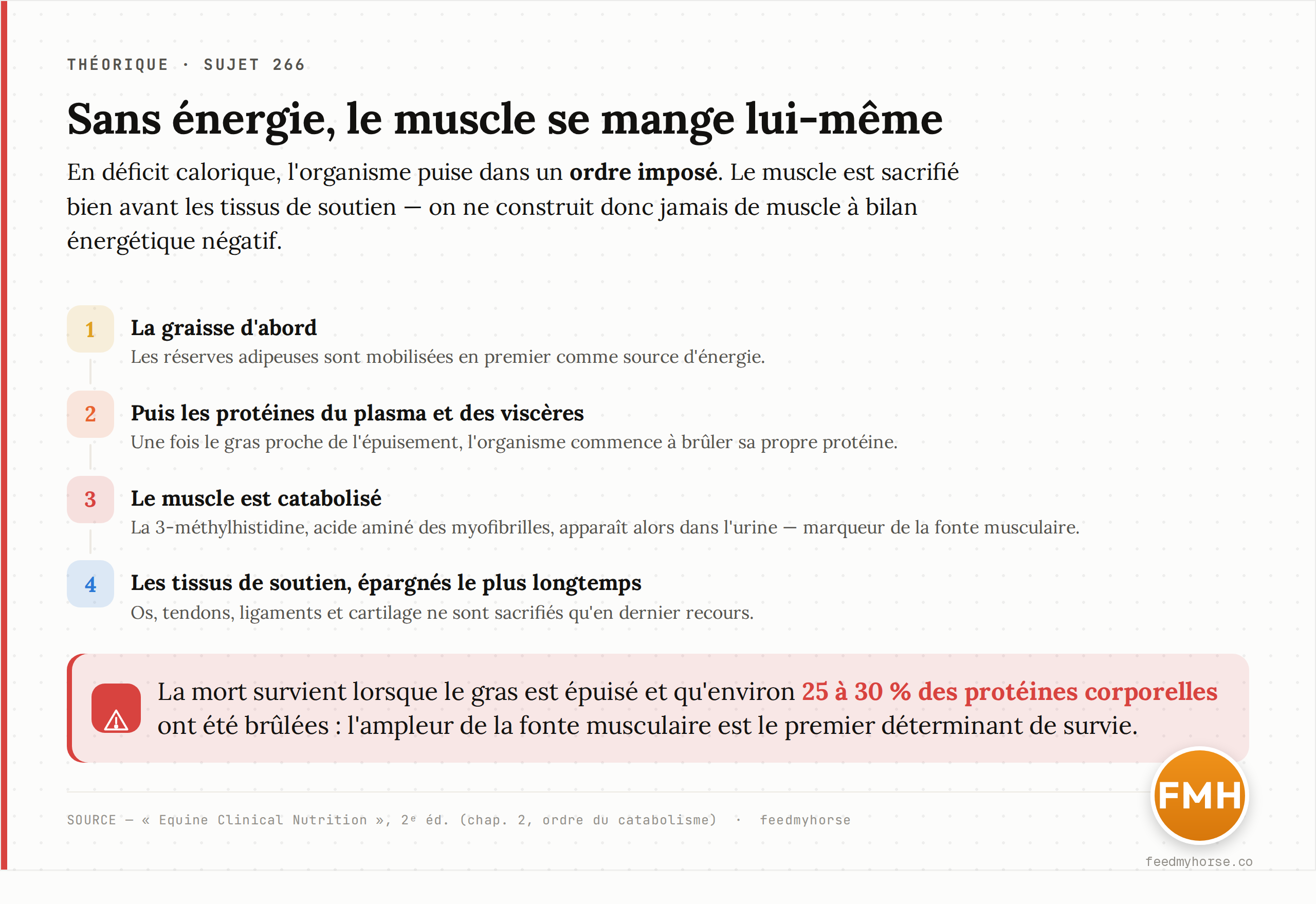 En déficit énergétique, l'organisme puise dans un ordre imposé : d'abord la graisse, puis les protéines du plasma, des viscères et du muscle, avant les tissus de soutien ; la mort survient vers 25–30 % des protéines corporelles brûlées. Source : Equine Clinical Nutrition, 2ᵉ éd. (chap. 2).