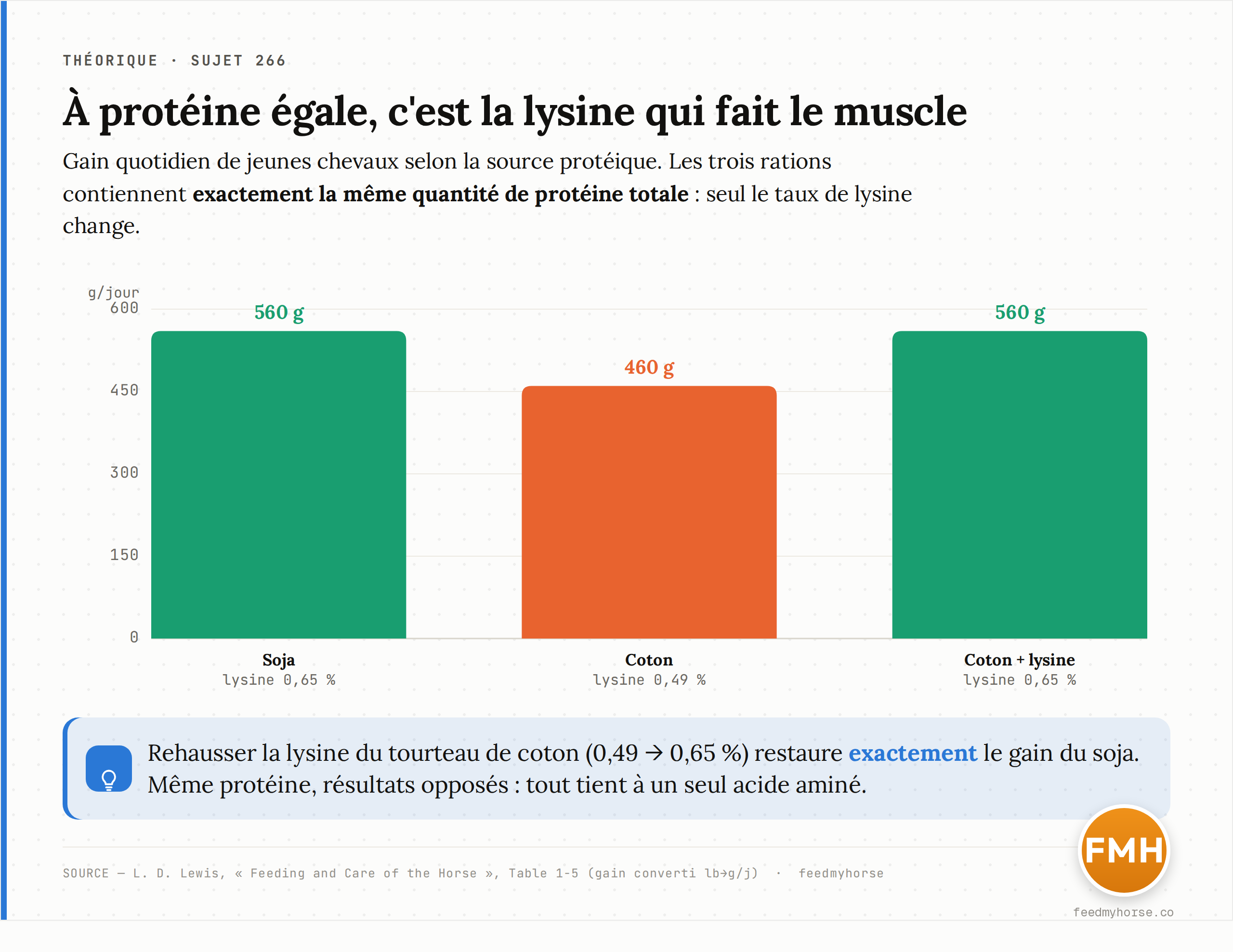 Effet de la qualité protéique — via la lysine — sur le gain quotidien de jeunes chevaux, à teneur en protéine totale identique. Gain converti en g/jour à partir des valeurs en lb/jour. Source : Lewis, Feeding and Care of the Horse, Table 1-5.