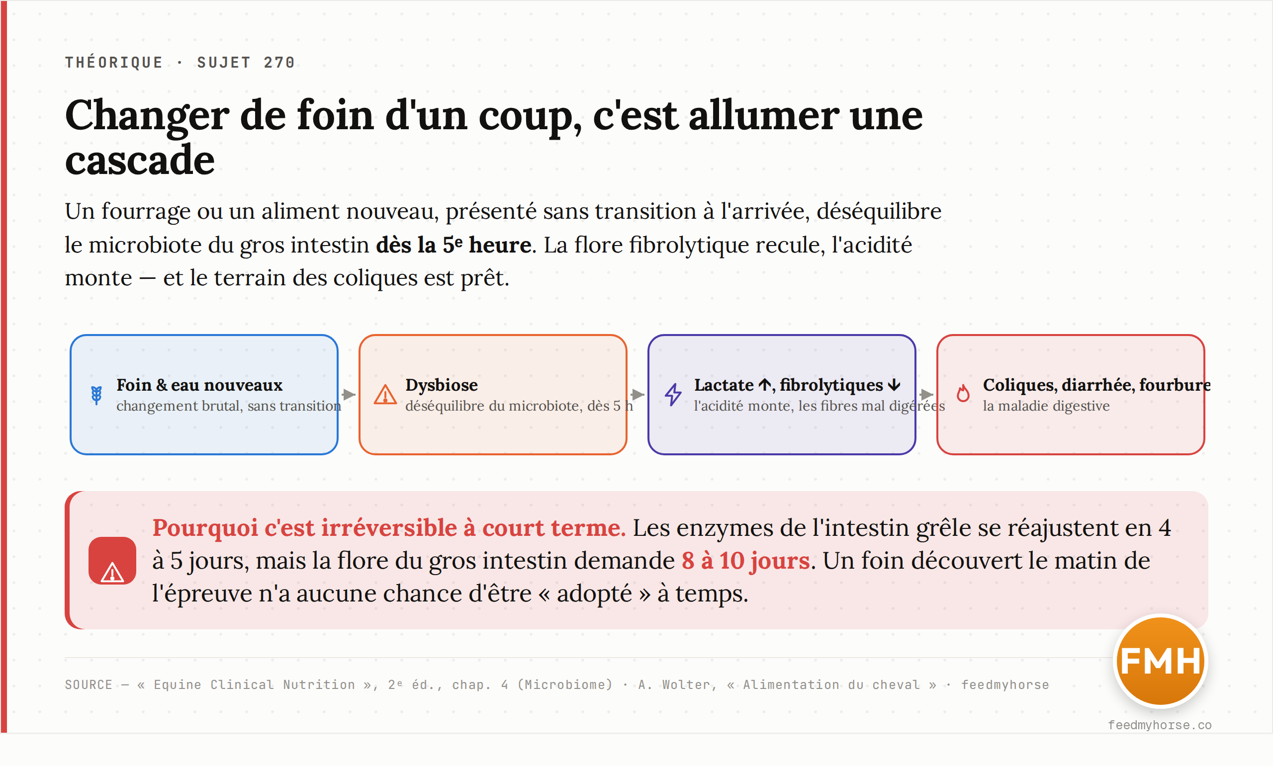 Schéma : la cascade déclenchée par un changement brutal de foin ou d'aliment lors d'un déplacement — de la rupture à la maladie digestive. Source : Equine Clinical Nutrition, 2ᵉ éd., chap. 4 (Microbiome).