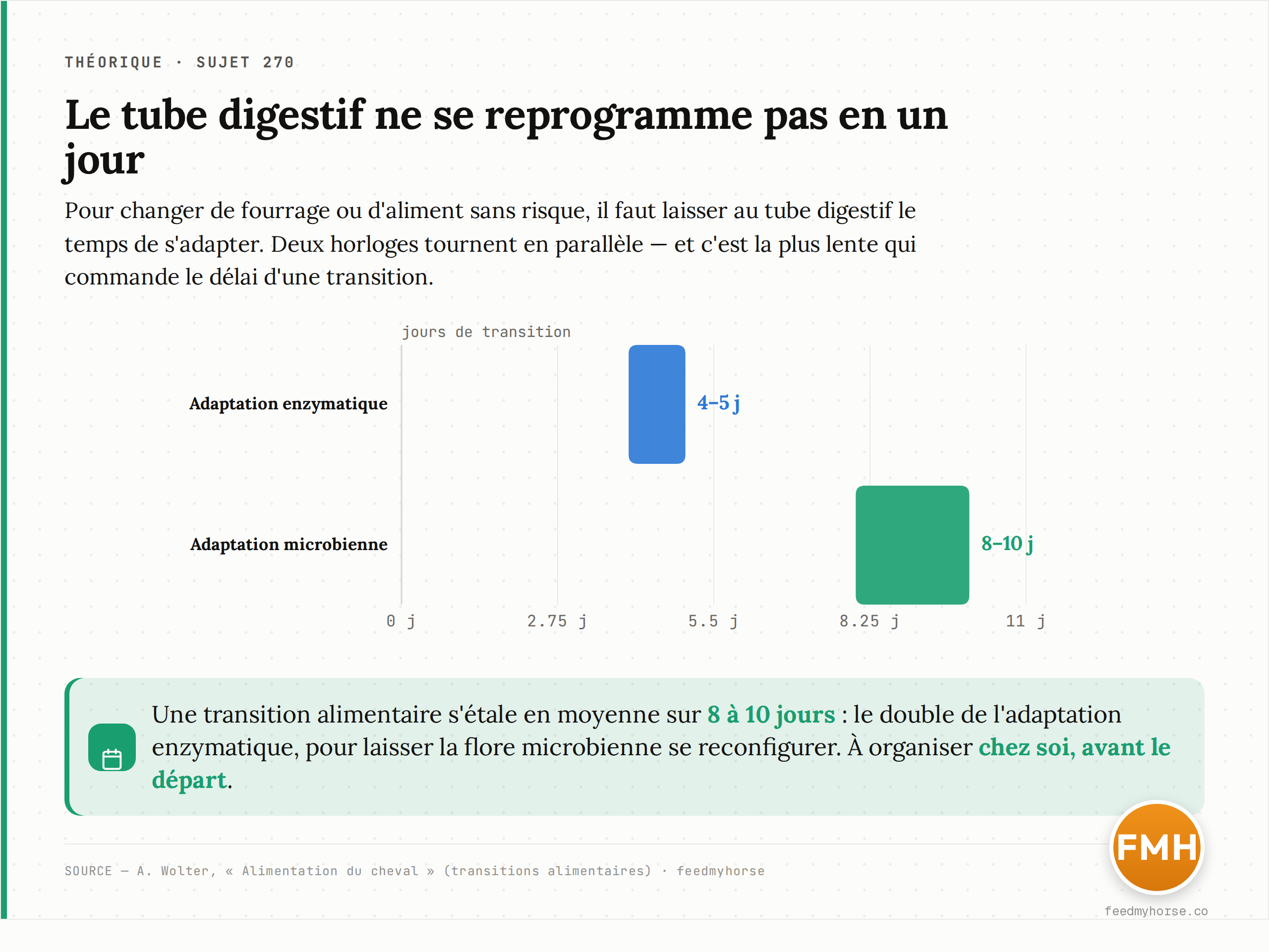 Graphique : les délais d'adaptation du tube digestif à un nouveau fourrage. Source : A. Wolter, « Alimentation du cheval » (transitions alimentaires).