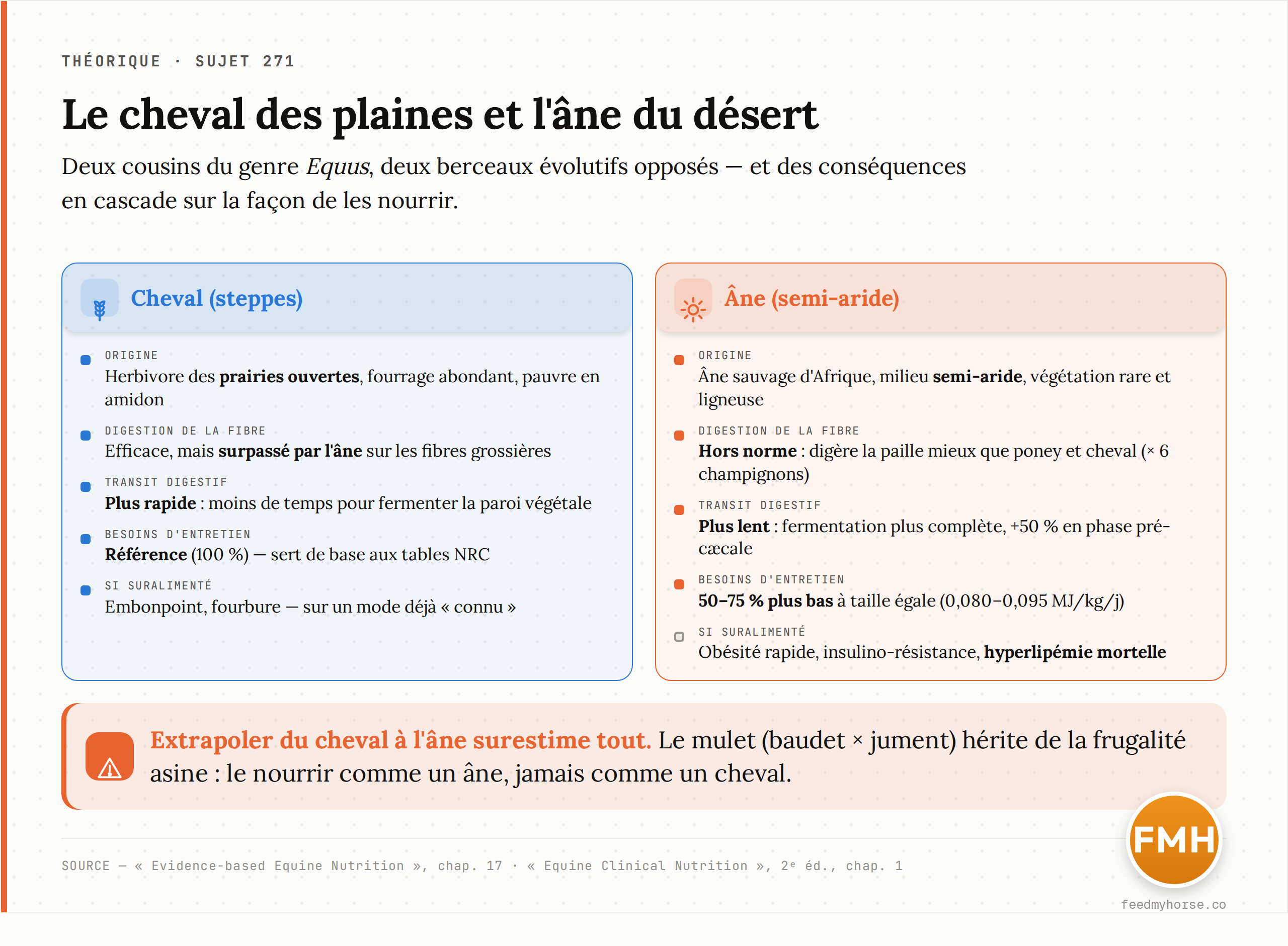 Le cheval des plaines et l'âne du désert : deux physiologies opposées, résumées côte à côte (origine, digestion de la fibre, besoins d'entretien, réponse à la suralimentation). Source : Evidence-based Equine Nutrition, chap. 17 ; Equine Clinical Nutrition, 2ᵉ éd., chap. 1.
