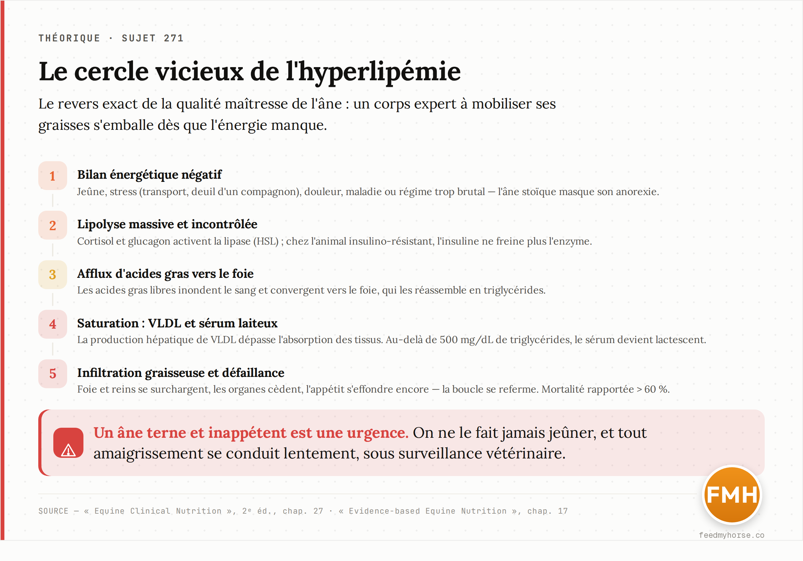 Le cercle vicieux de l'hyperlipémie chez l'âne : du bilan énergétique négatif à la défaillance des organes. Source : Equine Clinical Nutrition, 2ᵉ éd., chap. 27 (physiopathologie) ; Evidence-based Equine Nutrition, chap. 17 (prédisposition de l'âne).
