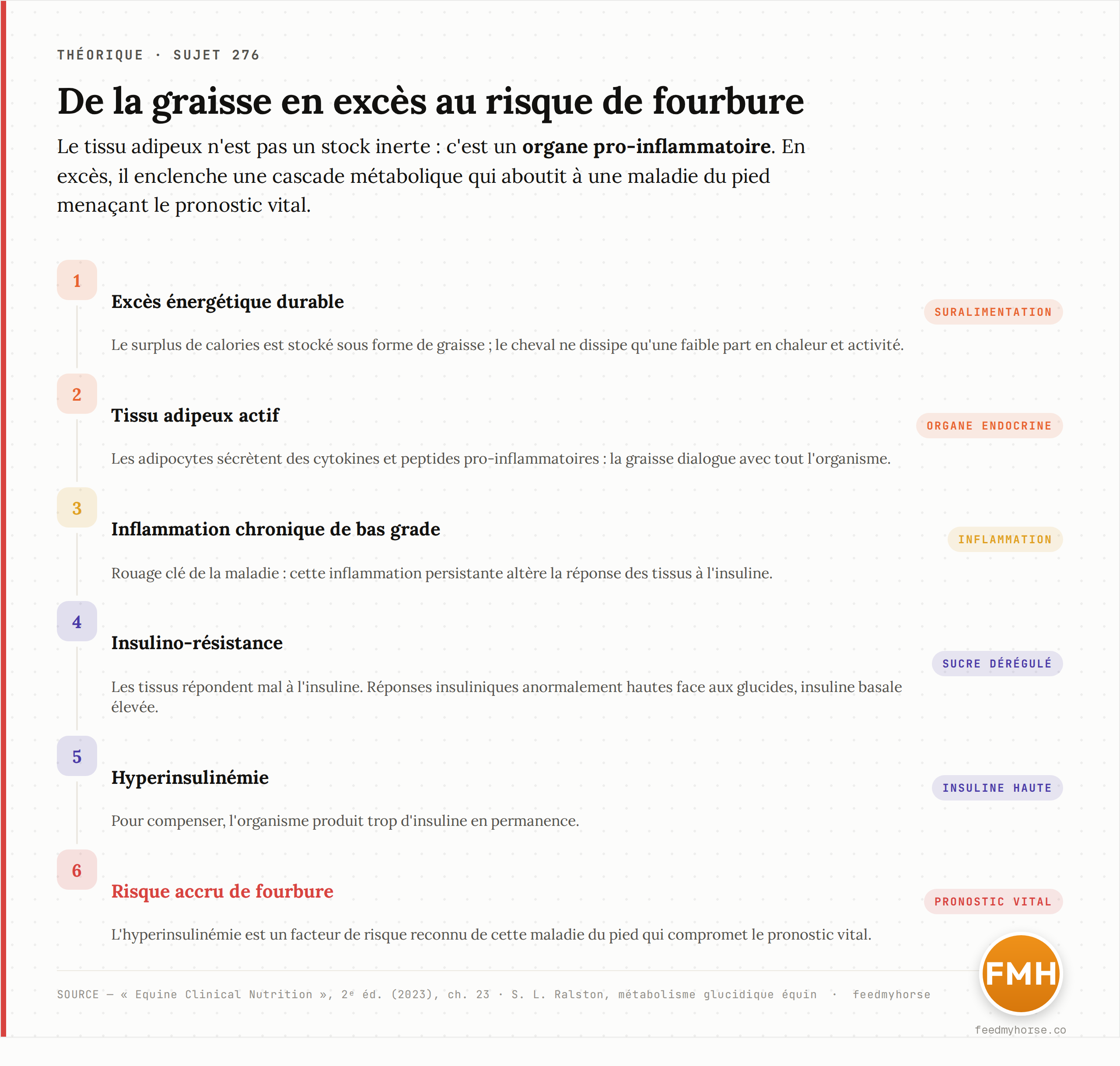 Schéma explicatif : comment l'excès de graisse, tissu métaboliquement actif, enclenche une cascade qui aboutit au risque de fourbure. Source : Equine Clinical Nutrition, 2ᵉ éd. (2023).
