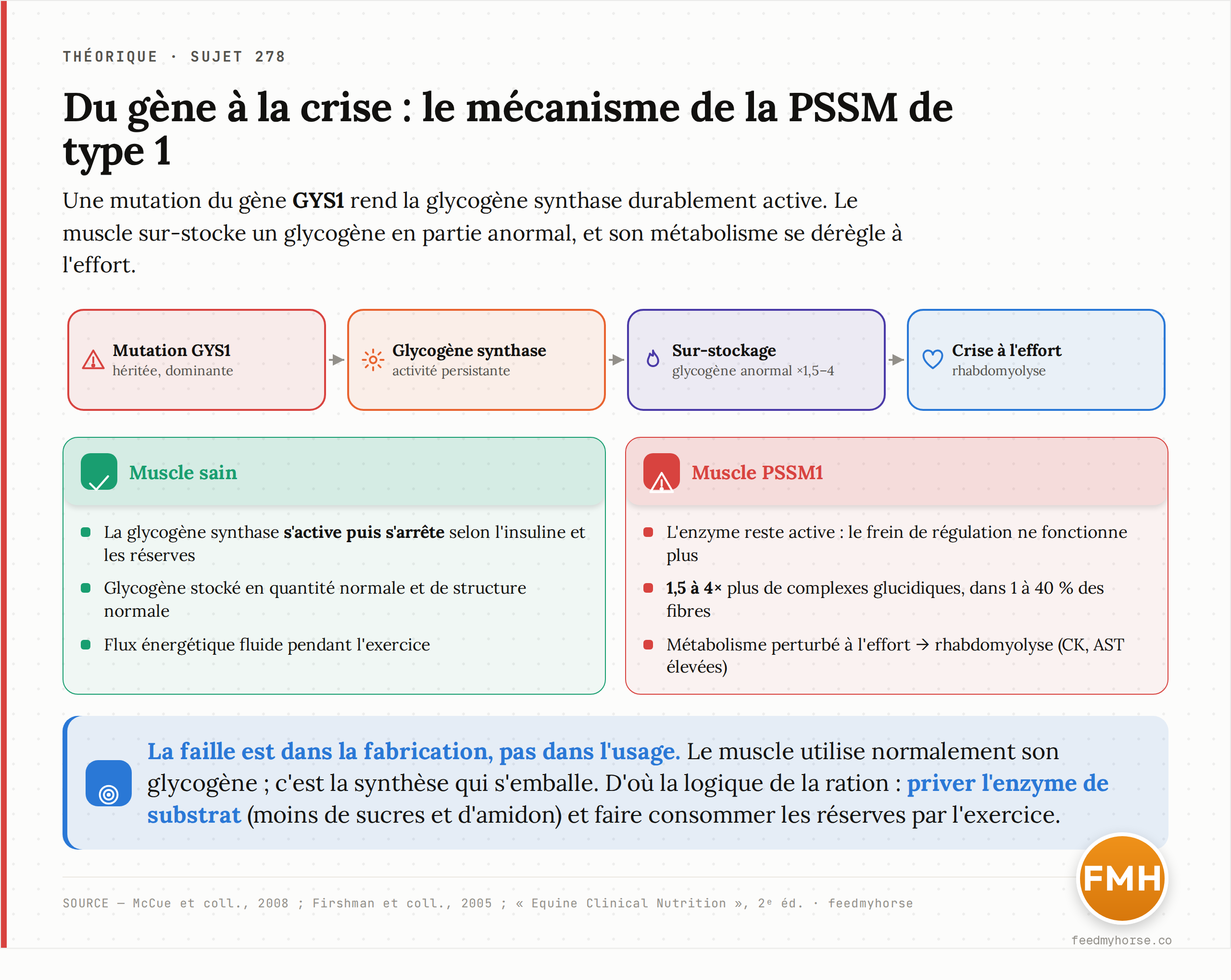 Le mécanisme de la PSSM de type 1, du gène à la crise : la mutation GYS1 rend la glycogène synthase durablement active, le muscle sur-stocke un glycogène en partie anormal, et le flux énergétique se dérègle à l'effort. Source : McCue et coll., 2008 ; Firshman et coll., 2005.