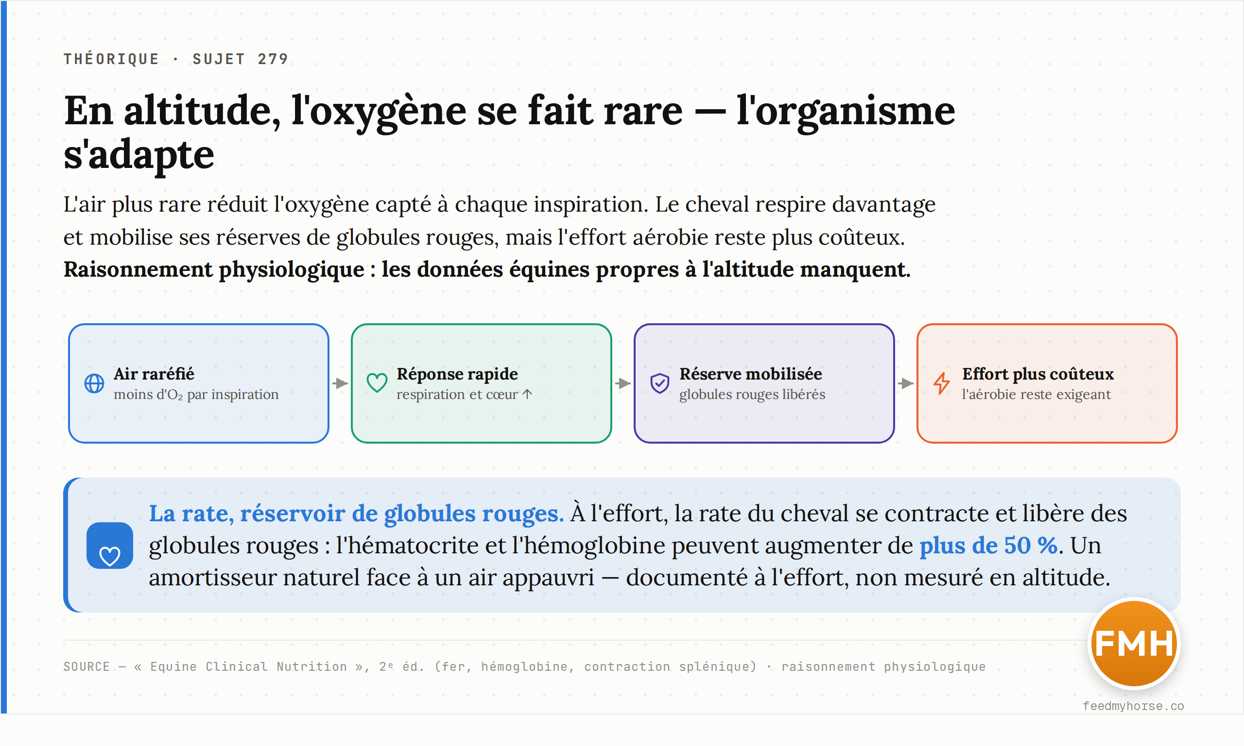 Schéma : en altitude, l'air raréfié réduit l'oxygène capté à chaque inspiration ; l'organisme compense en respirant plus et en mobilisant ses réserves de globules rouges, mais l'effort aérobie reste plus coûteux. Raisonnement physiologique — les données équines spécifiques à l'altitude manquent.