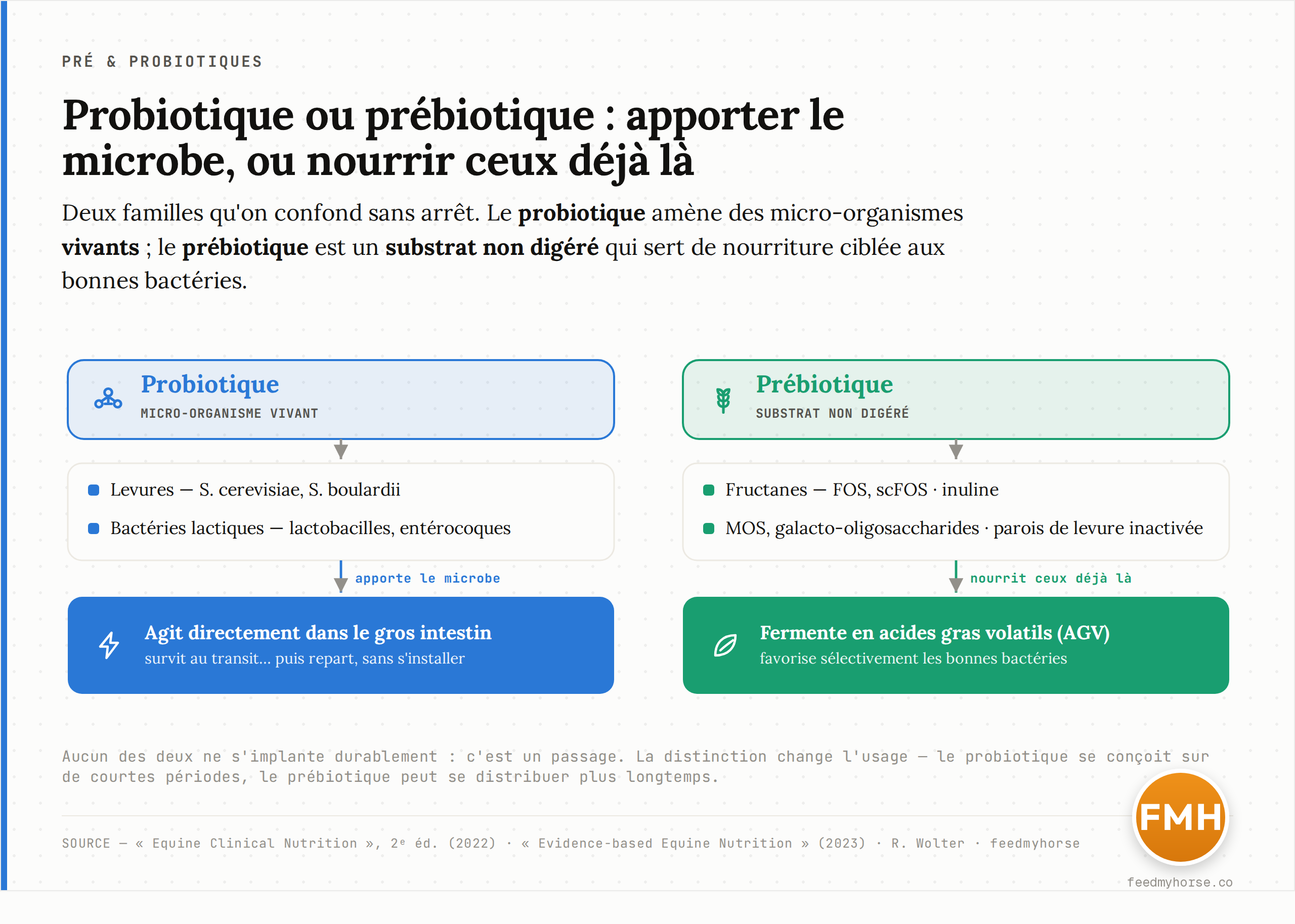 Schéma comparant probiotique et prébiotique : le probiotique apporte des micro-organismes vivants (levures, bactéries lactiques) qui agissent directement dans le gros intestin ; le prébiotique est un substrat non digéré (FOS, scFOS, MOS) qui fermente en acides gras volatils et favorise sélectivement les bactéries déjà présentes.