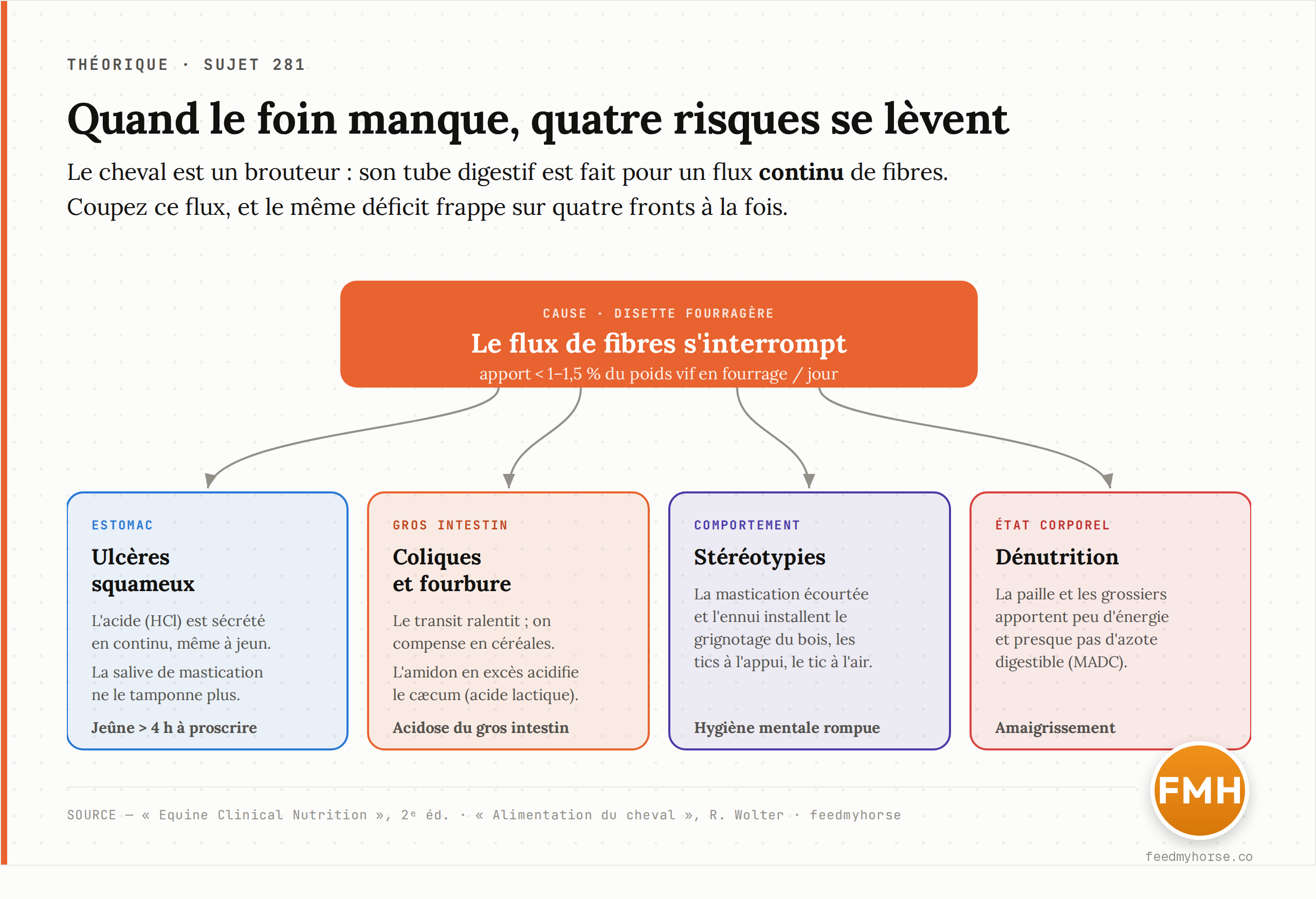 Schéma : le cheval, brouteur au tube digestif conçu pour un flux continu de fibres, encaisse le déficit sur quatre fronts simultanés dès que l'apport passe sous 1–1,5 % du poids vif. Source : Equine Clinical Nutrition (2023), Wolter.