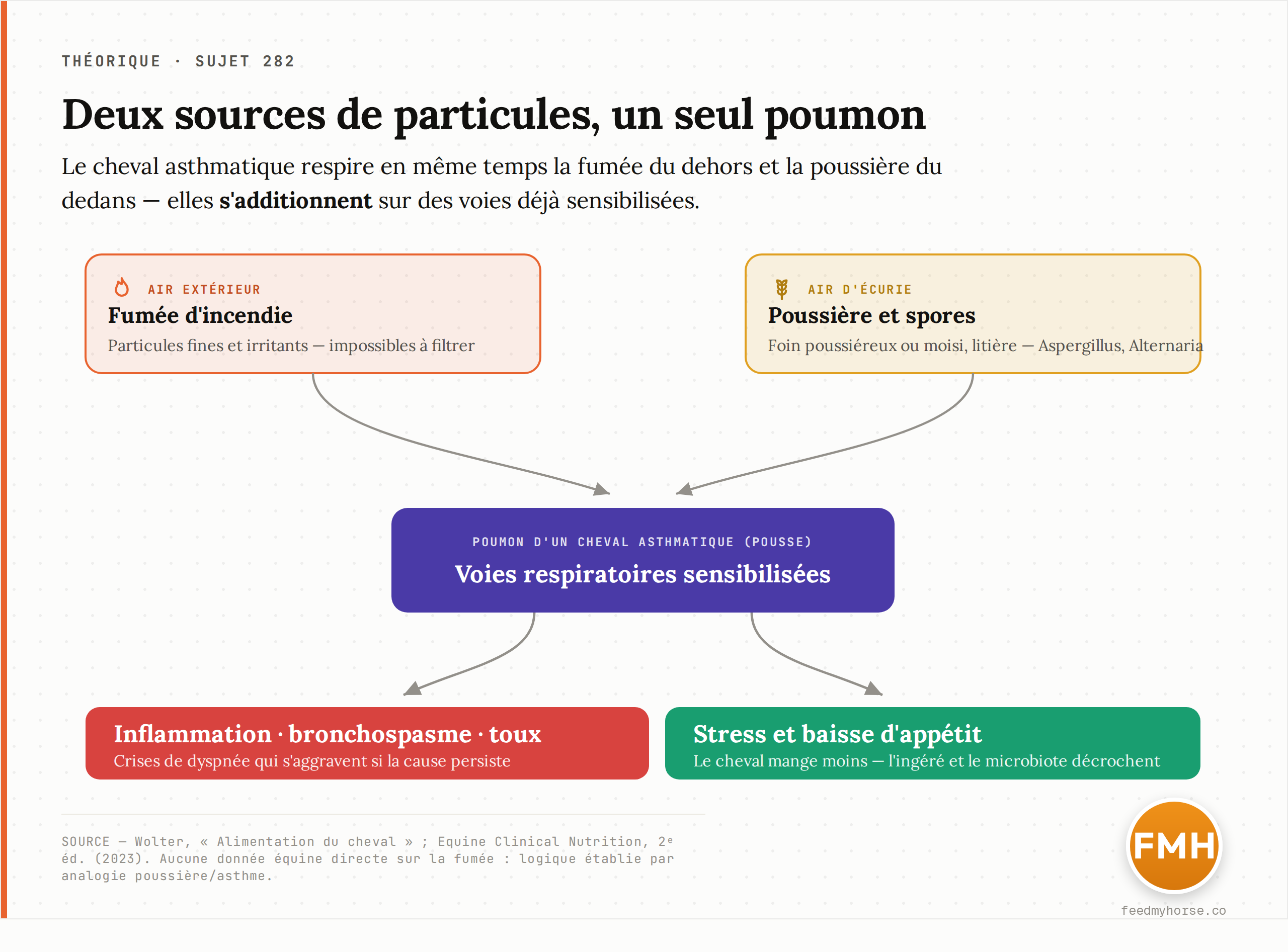 Schéma : deux sources de particules — l'air extérieur chargé de fumée d'incendie et l'air d'écurie chargé de poussière et de spores de moisissure du foin et de la litière — convergent sur les mêmes voies respiratoires déjà sensibilisées d'un cheval asthmatique, d'où inflammation, bronchospasme et baisse d'appétit. Logique établie d'après Wolter (2016) et Equine Clinical Nutrition, 2ᵉ éd. (2023).