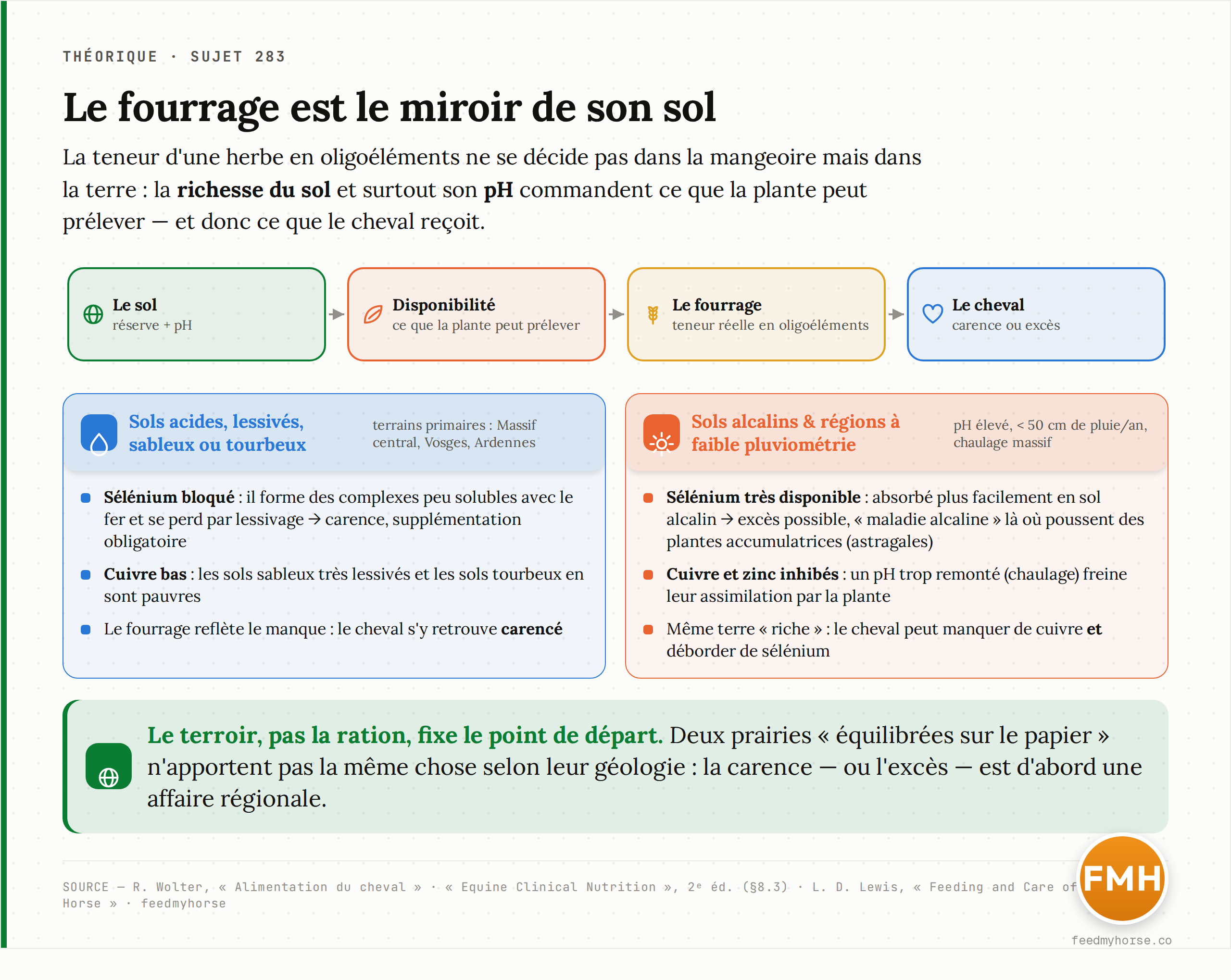 Schéma : la teneur d'un fourrage en oligoéléments se décide dans le sol (réserve et pH), qui commande la disponibilité pour la plante, donc la teneur réelle du fourrage, donc le statut du cheval. Selon que le sol est acide et lessivé ou alcalin et chaulé, le même cheval se retrouve carencé ou en excès. Source : Wolter, Equine Clinical Nutrition (§8.3), Lewis.