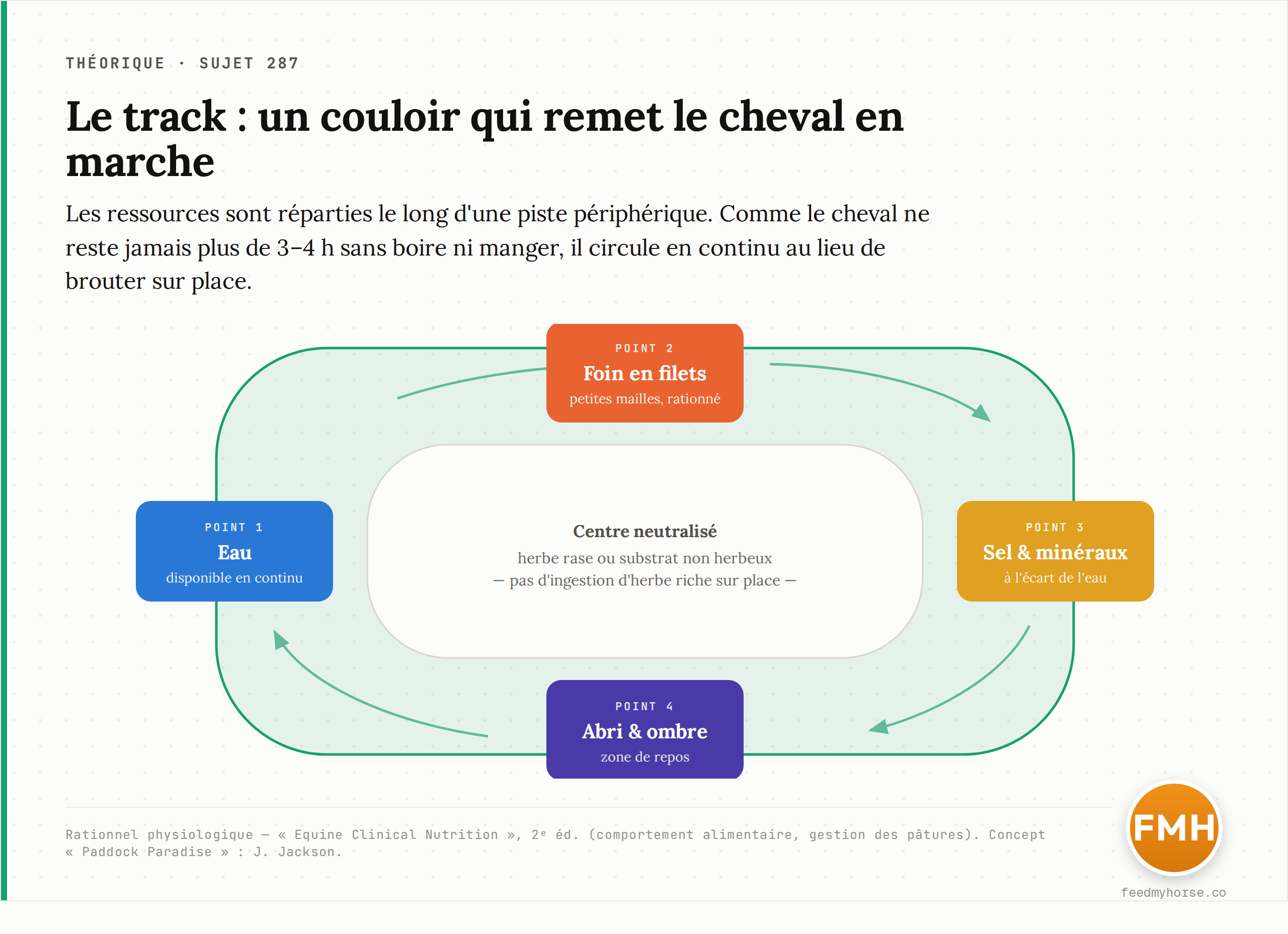 Schéma du principe du track : un couloir périphérique relie des points d'intérêt volontairement éloignés (eau, foin en filets, sel, abri), ce qui contraint le cheval à marcher en continu au lieu de brouter sur place. Rationnel physiologique d'après Equine Clinical Nutrition, 2ᵉ éd.