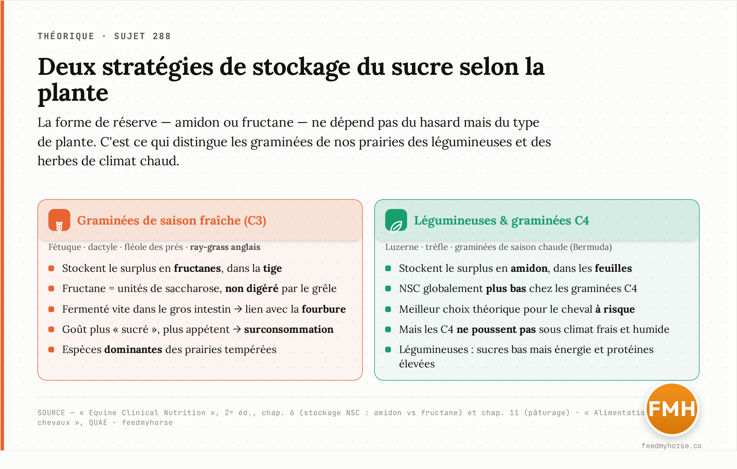 Deux stratégies de stockage du sucre selon la plante : les graminées de saison fraîche (C3) — fétuque, dactyle, fléole, ray-grass — accumulent des fructanes dans la tige ; les légumineuses et les graminées de saison chaude (C4) stockent de l'amidon dans les feuilles. Source : Equine Clinical Nutrition, 2ᵉ éd., chap. 6.