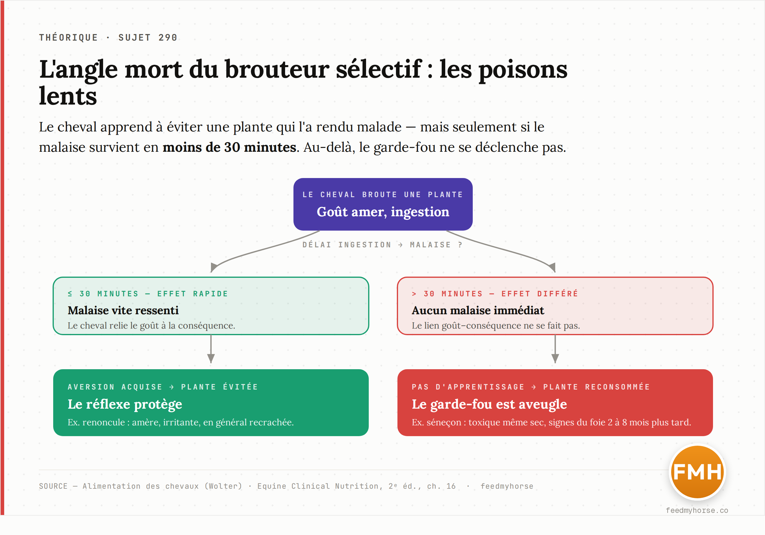 Schéma : le cheval, brouteur sélectif, évite la plupart des plantes toxiques grâce à l'aversion acquise — mais ce réflexe n'opère que si le malaise survient en moins de 30 minutes. Les poisons à effet différé, comme le séneçon (signes 2 à 8 mois plus tard), échappent à ce garde-fou. Source : Alimentation des chevaux (Wolter) ; Equine Clinical Nutrition, 2ᵉ éd., ch. 12 et 16.