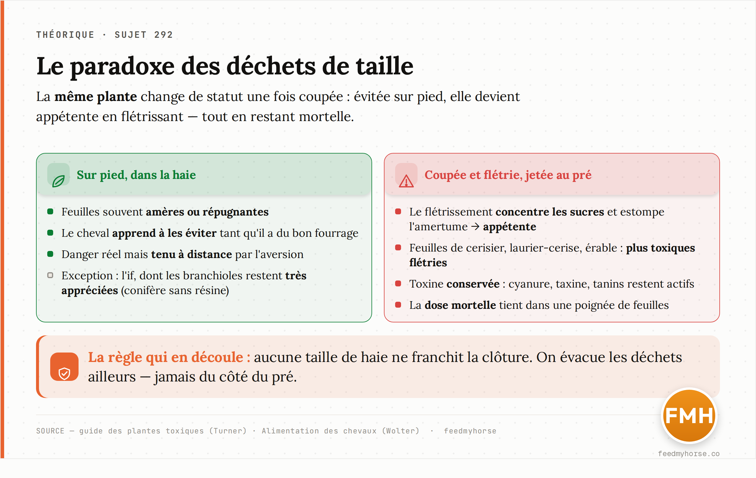 Le paradoxe du flétrissement : la même plante, dangereuse mais évitée sur pied, devient appétente et toujours toxique une fois coupée et fanée. Schéma feedmyhorse d'après Turner (guide des plantes toxiques) et Wolter.