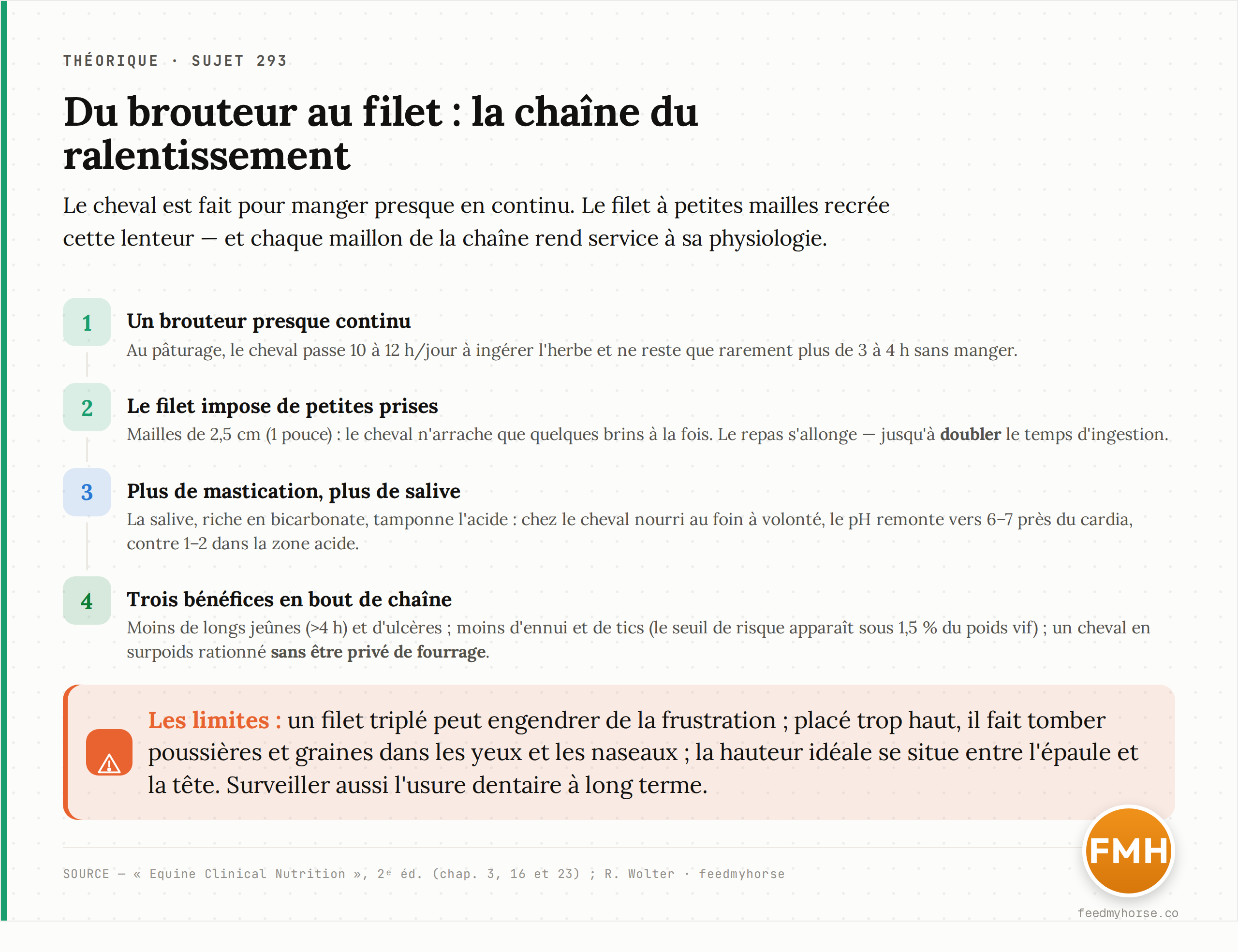 Chaîne mécanistique du ralentissement de l'ingestion : le cheval brouteur mange presque en continu au pâturage ; le filet à petites mailles impose de petites prises, ce qui allonge le repas, augmente la mastication et la salivation (tampon de l'acide gastrique), évite les longs jeûnes et l'ennui, tout en permettant de rationner sans priver de fourrage. Sources : Equine Clinical Nutrition, 2ᵉ éd. ; R. Wolter.