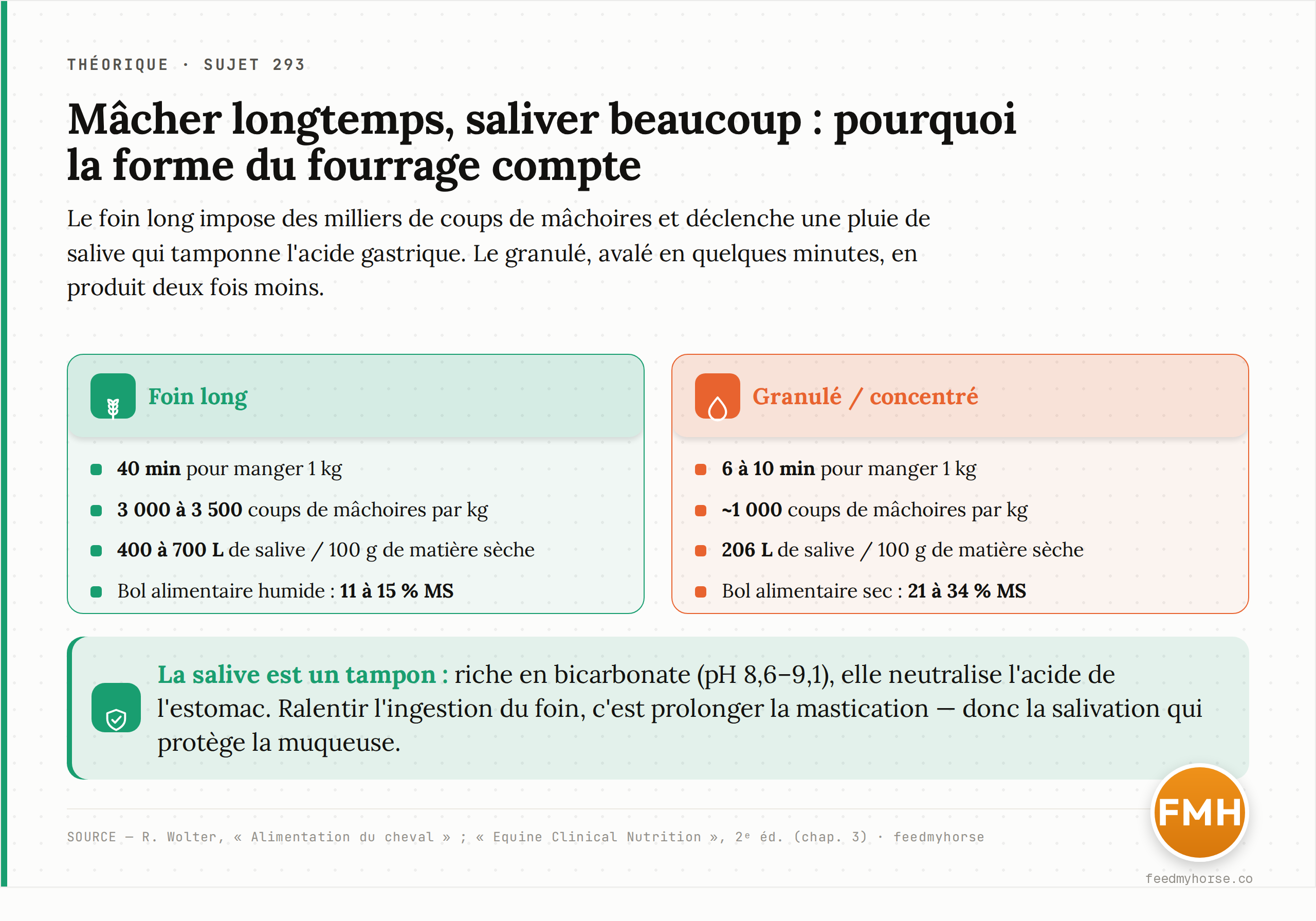 Comparaison foin long / granulé sur la mastication et la salivation : le foin demande 40 min et 3 000 à 3 500 coups de mâchoires par kg et produit 400 à 700 L de salive / 100 g MS (bol humide à 11–15 % MS) ; le granulé est avalé en 6 à 10 min avec ~1 000 coups de mâchoires et 206 L de salive / 100 g MS (bol sec à 21–34 % MS). Sources : R. Wolter, Alimentation du cheval ; Equine Clinical Nutrition, 2ᵉ éd. (chapitre 3).