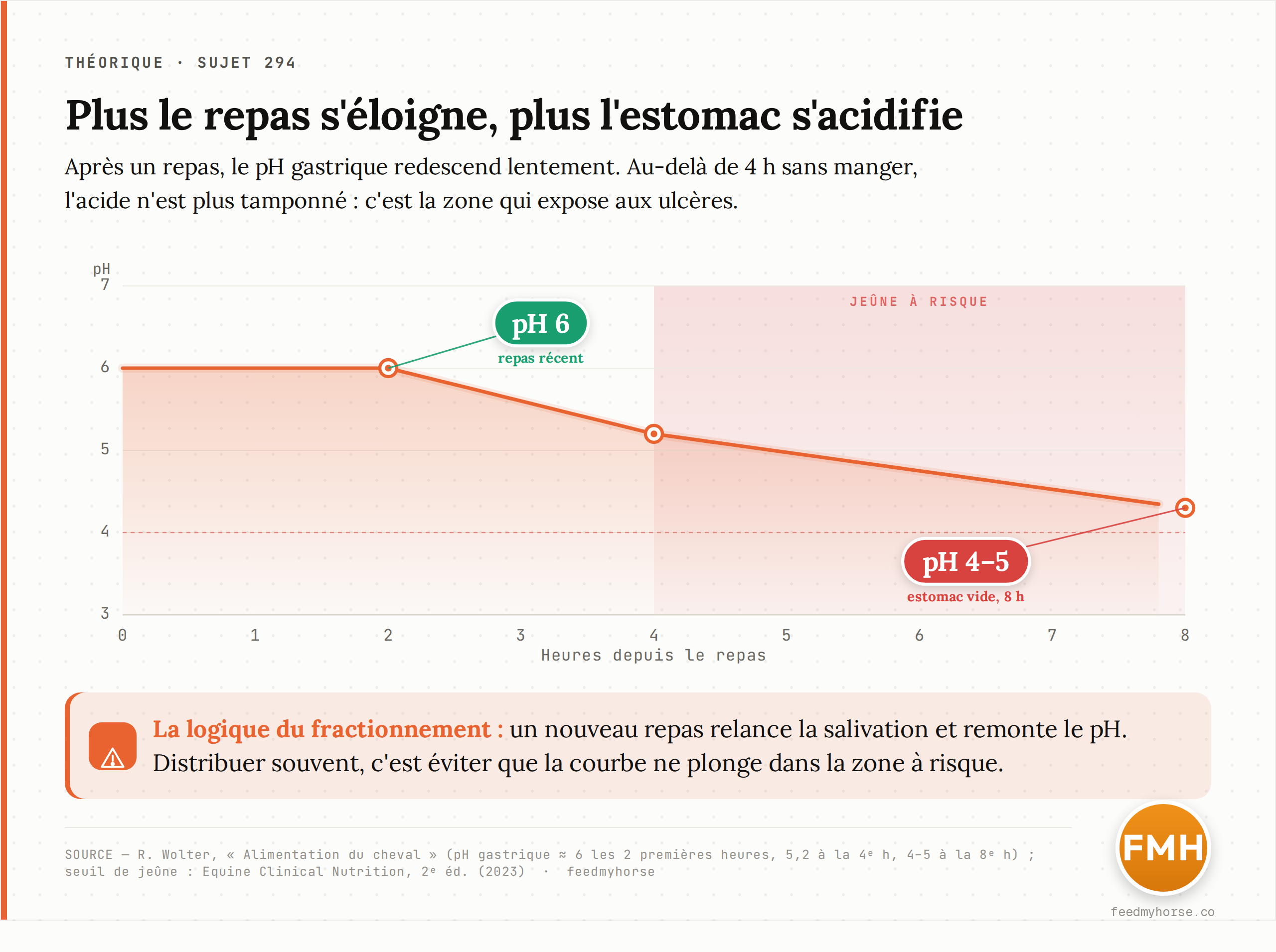 Évolution du pH gastrique après un repas : maintenu autour de 6 les deux premières heures, il tombe à 5,2 à la 4ᵉ heure puis vers 4-5 à la 8ᵉ heure. Au-delà de 4 h de jeûne, l'acidité n'est plus tamponnée. Source : R. Wolter, « Alimentation du cheval » ; seuil de jeûne : Equine Clinical Nutrition, 2ᵉ éd. (2023).