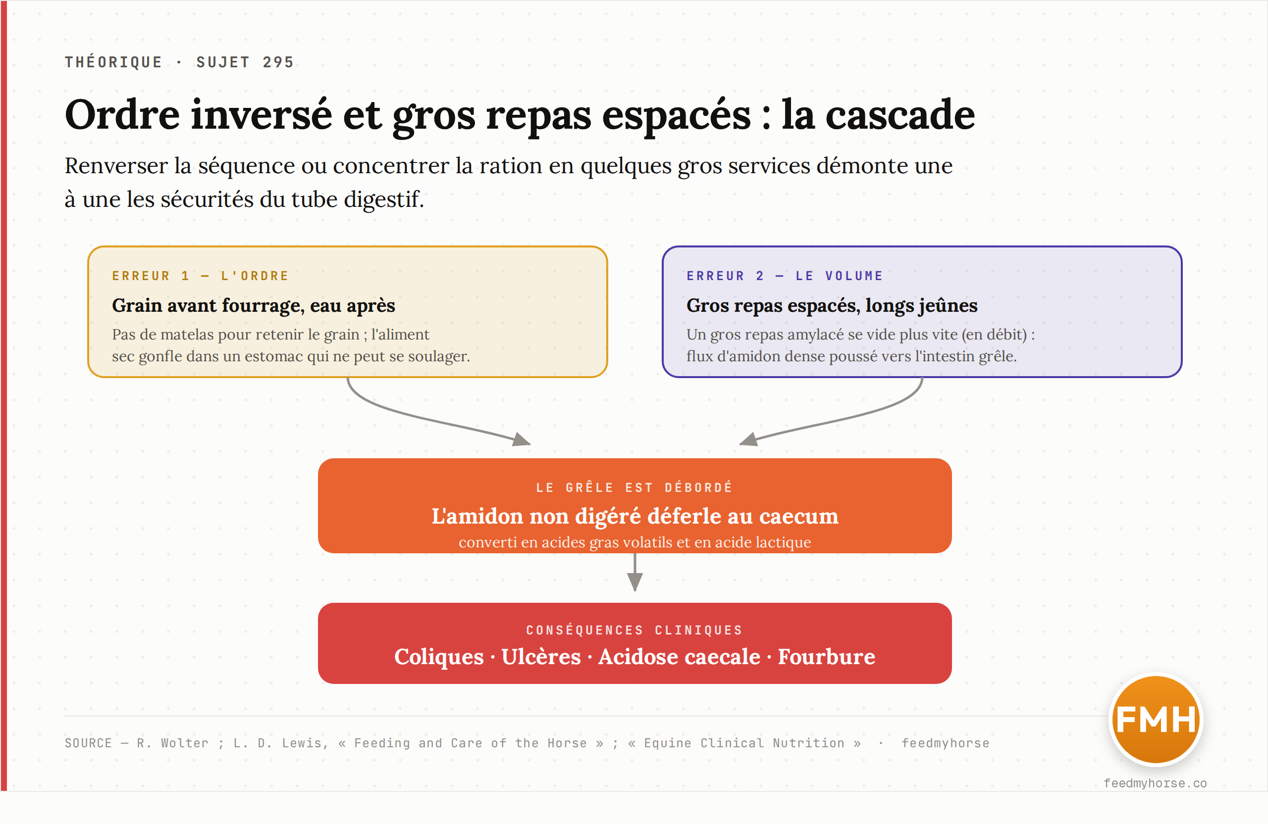 Schéma : la séquence des erreurs. Ordre inversé et gros repas espacés déclenchent une cascade — gonflement gastrique, flux d'amidon trop rapide, acidose caecale — dont les issues sont coliques, ulcères et fourbure. Source : Wolter ; Lewis, Feeding and Care of the Horse ; Equine Clinical Nutrition.