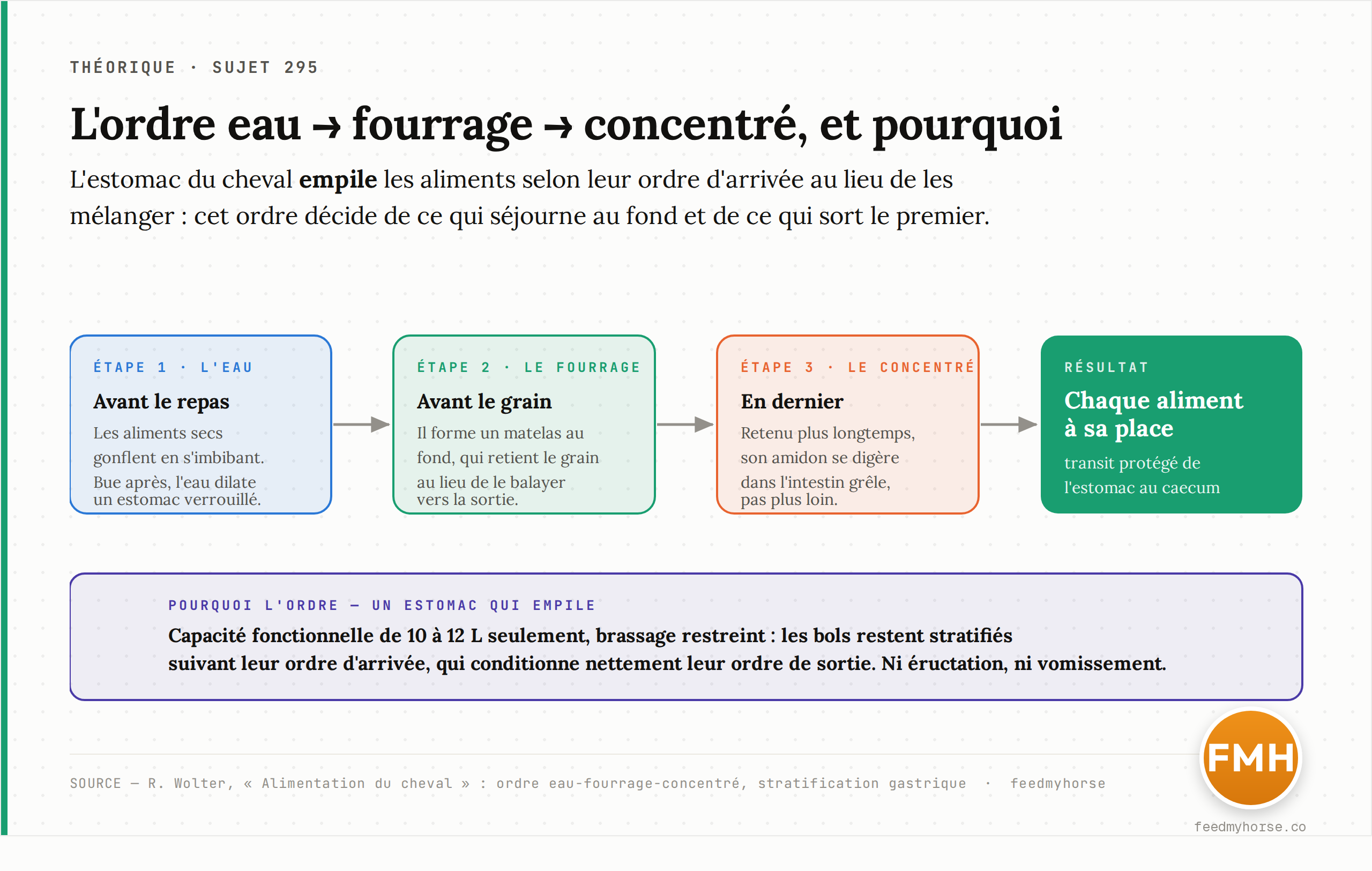 Schéma : dans l'estomac du cheval, les aliments restent stratifiés selon leur ordre d'arrivée. Présenter l'eau, puis le fourrage, puis le concentré place chaque aliment là où sa physiologie l'exige. Source : Wolter, Alimentation du cheval.