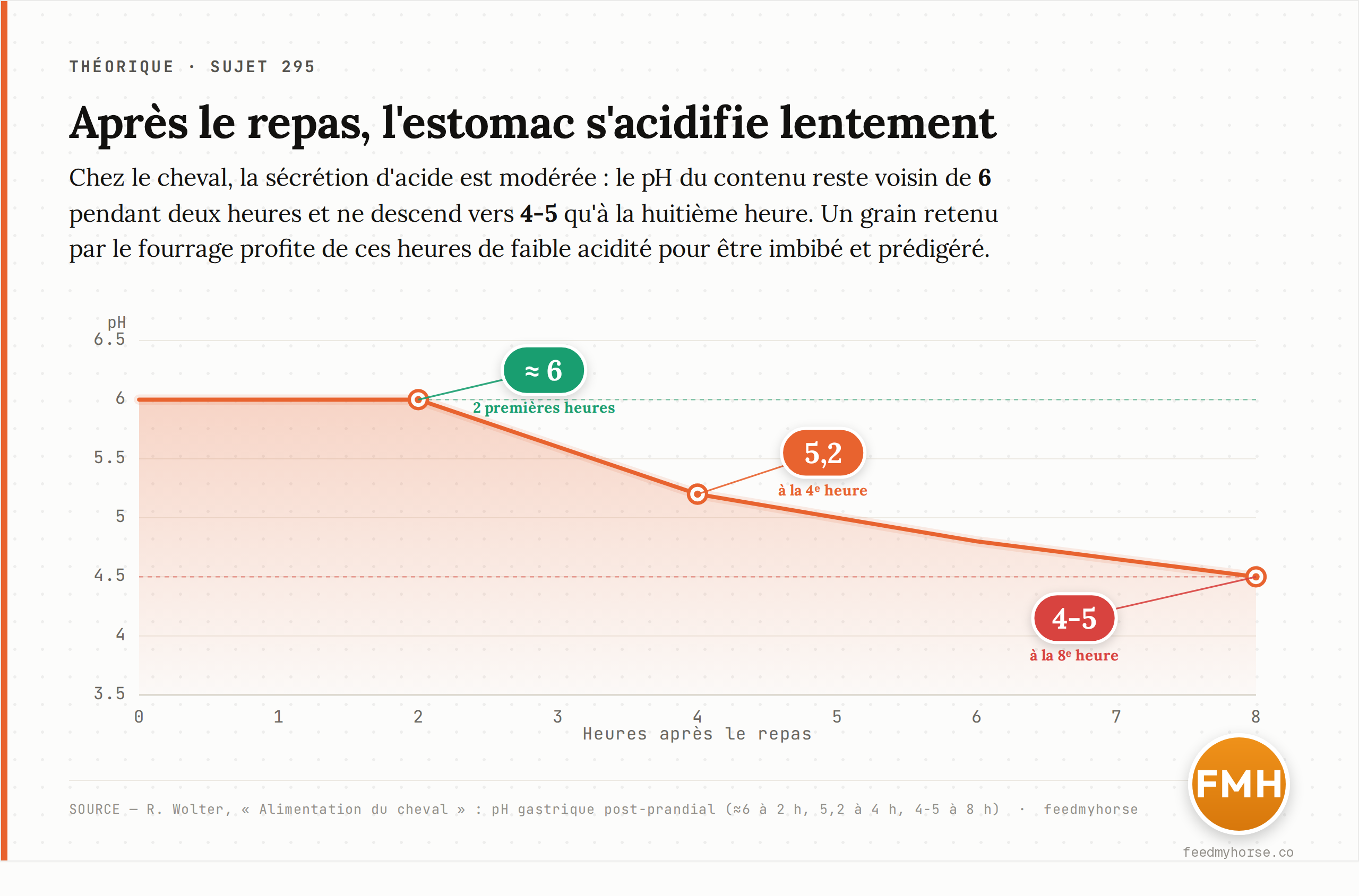 Graphique : après un repas, l'estomac du cheval s'acidifie lentement — le pH reste voisin de 6 pendant deux heures et ne descend vers 4-5 qu'à la huitième heure. Source : Wolter, Alimentation du cheval (valeurs de pH gastrique post-prandial).
