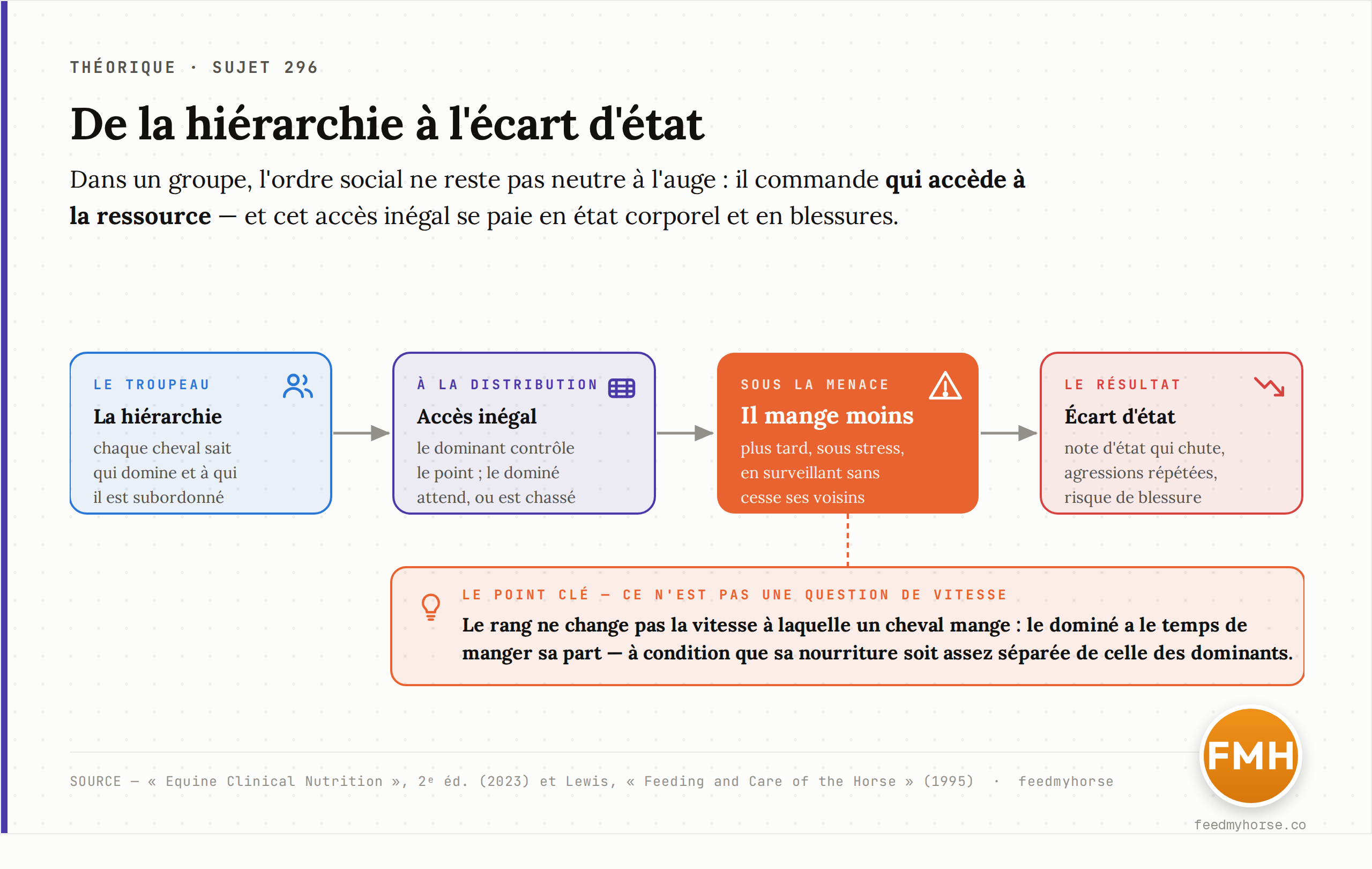 De la hiérarchie à l'écart d'état : dans un groupe, la dominance règle l'accès au point de distribution ; le dominé mange moins et sous stress ; il en résulte un écart de note d'état corporel, des agressions et un risque de blessures. Schéma d'après Equine Clinical Nutrition (2023) et Lewis, Feeding and Care of the Horse (1995).