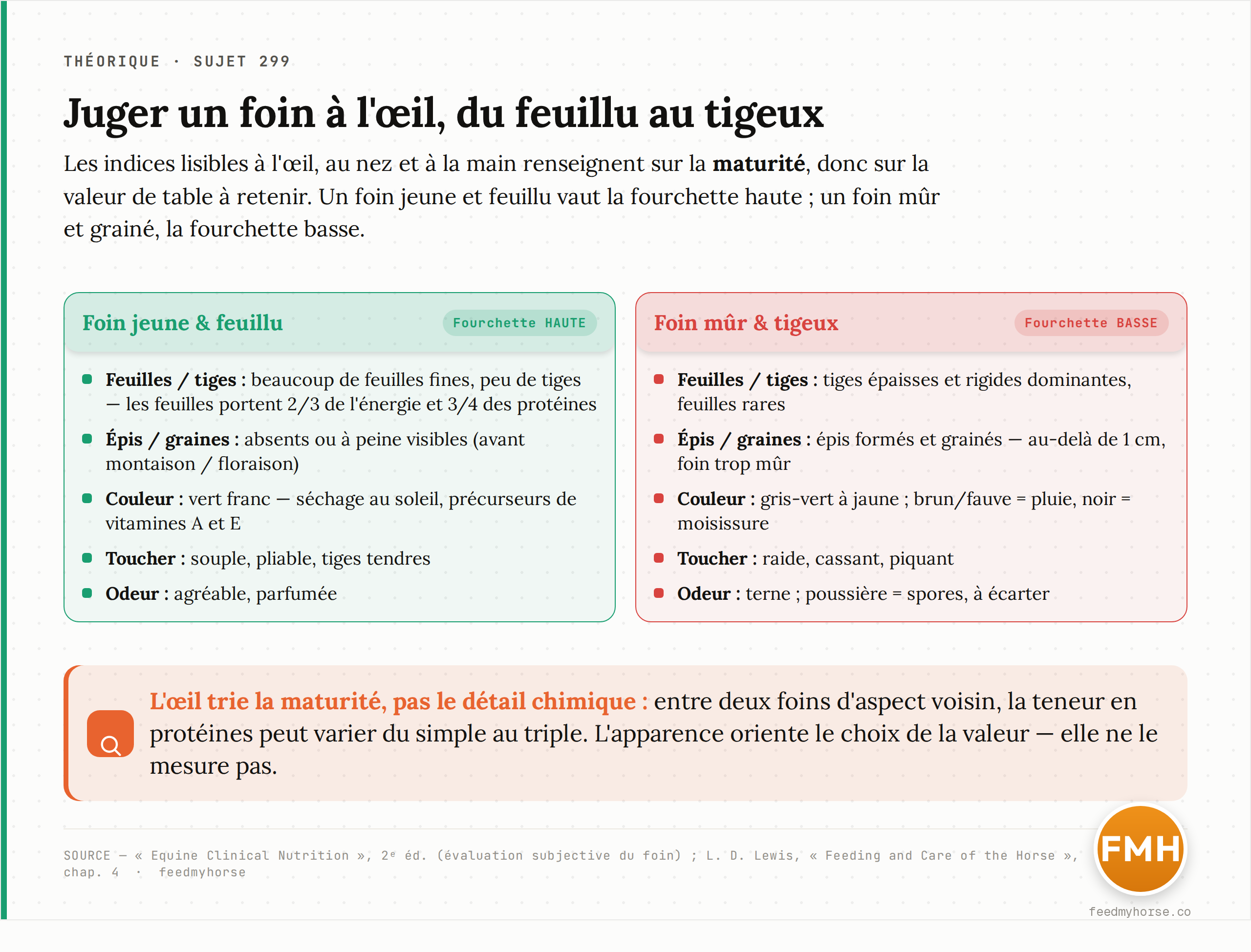 À gauche, un foin jeune et feuillu ; à droite, un foin mûr et tigeux — les indices lisibles à l'œil (proportion feuilles/tiges, épis et graines, couleur, souplesse) qui orientent le choix de la valeur de table vers le haut ou vers le bas de la fourchette. Source : Equine Clinical Nutrition, 2ᵉ éd. ; Lewis, Feeding and Care of the Horse.