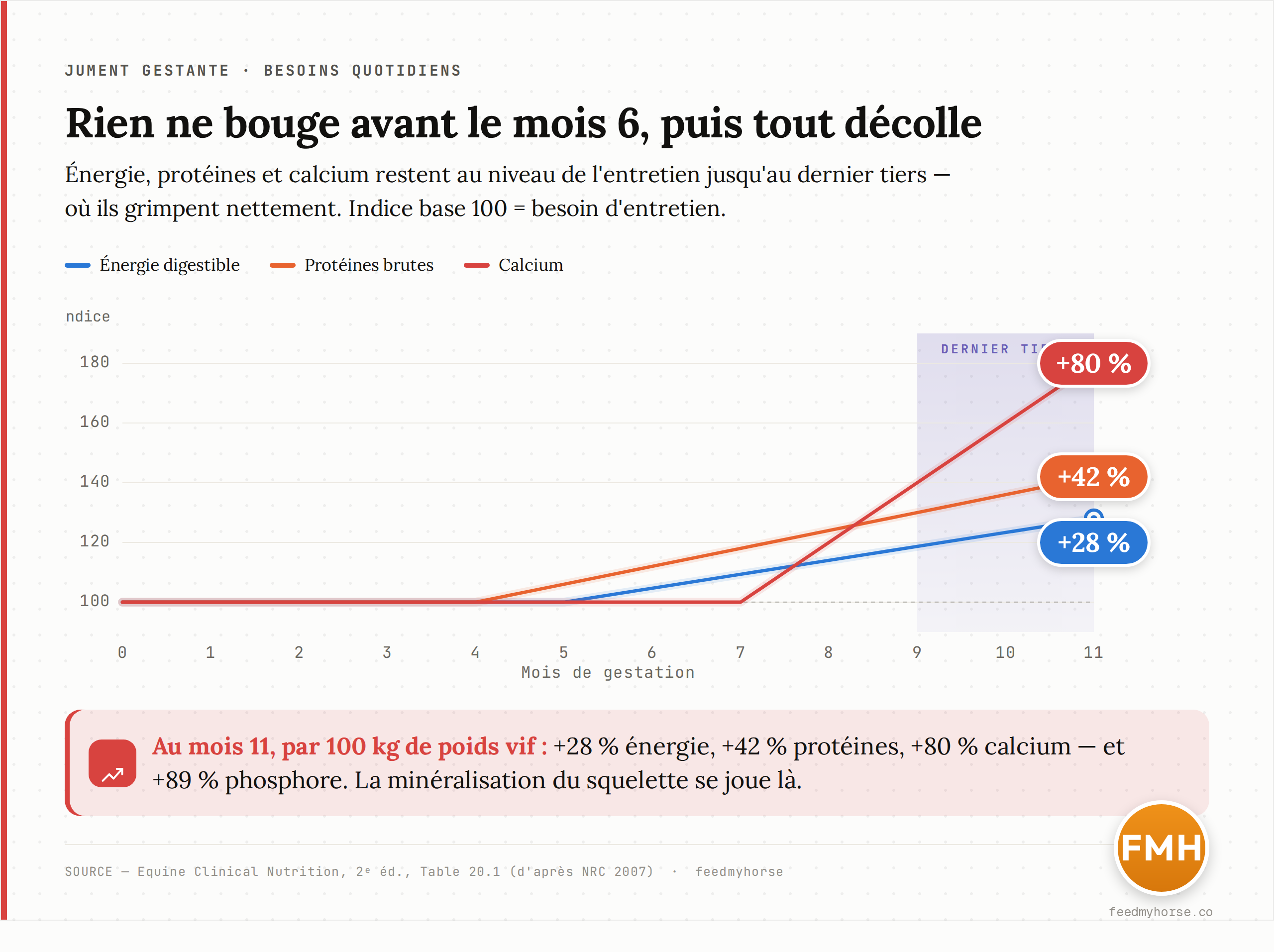 Graphique : evolution des besoins quotidiens de la jument (energie, proteines, calcium) exprimes en indice base 100 = besoin d'entretien avant le 5e mois. Les trois nutriments restent proches de l'entretien jusqu'au mois 6, puis montent au dernier tiers (+28 % energie, +42 % proteines, +80 % calcium au mois 11). Source : Equine Clinical Nutrition 2e ed., Table 20.1, d'apres NRC 2007.