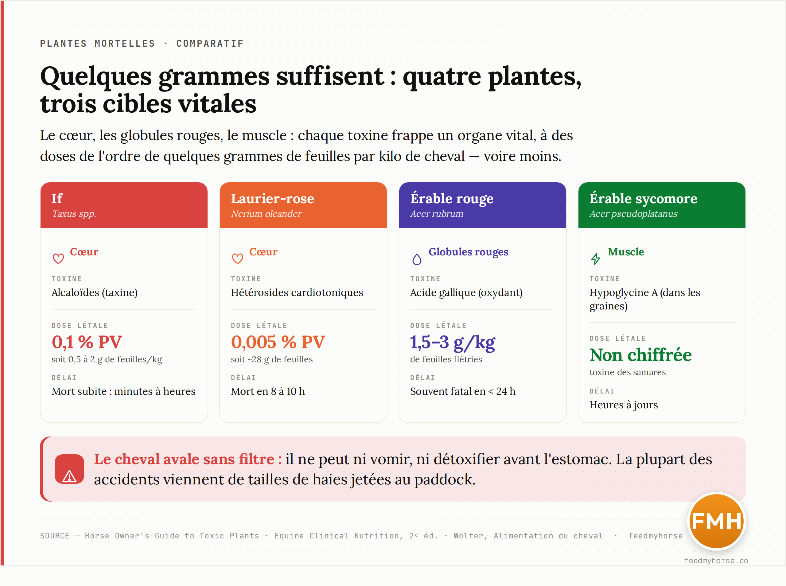 Tableau comparatif des trois plantes les plus mortelles pour le cheval. If (Taxus) : alcaloïdes taxine, cible le cœur, dose létale ~0,1 % du poids vif (0,5 à 2 g de feuilles/kg), mort subite en minutes à heures. Laurier-rose (Nerium oleander) : hétérosides cardiotoniques, cible le cœur, ~0,005 % du poids vif (environ 28 g de feuilles), mort en 8 à 10 h. Érable rouge (Acer rubrum) : acide gallique oxydant, cible les globules rouges, 1,5 à 3 g de feuilles/kg, souvent fatal en moins de 24 h. Érable sycomore (Acer pseudoplatanus) : hypoglycine A, cible le muscle, dans les graines, délai de heures à jours. Sources : Horse Owner's Guide to Toxic Plants ; Equine Clinical Nutrition 2e éd. ; Wolter.