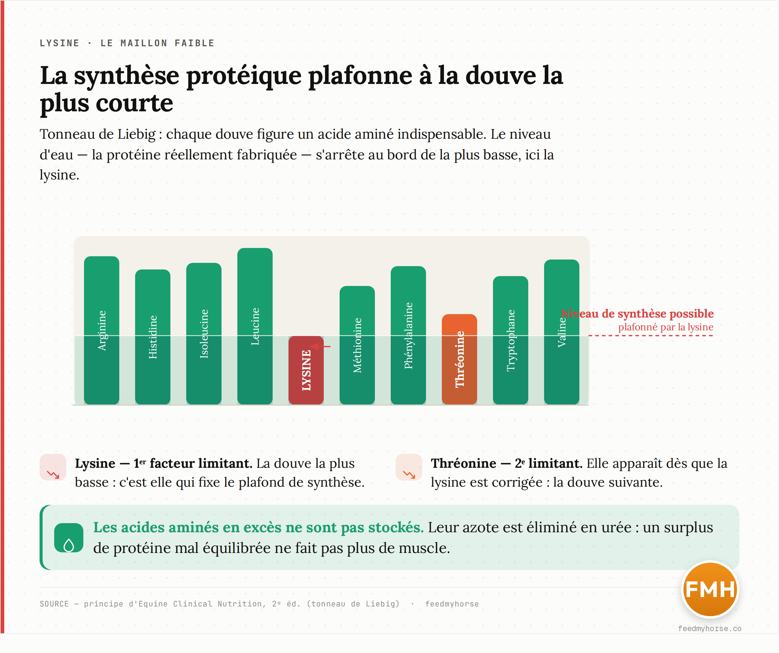 Schéma du tonneau de Liebig appliqué aux acides aminés : chaque douve figure un acide aminé indispensable ; la hauteur d'eau (la synthèse protéique possible) est plafonnée par la douve la plus courte, ici la lysine, tandis que la thréonine constitue la seconde douve la plus basse. Source : principe d'Equine Clinical Nutrition, 2e éd.